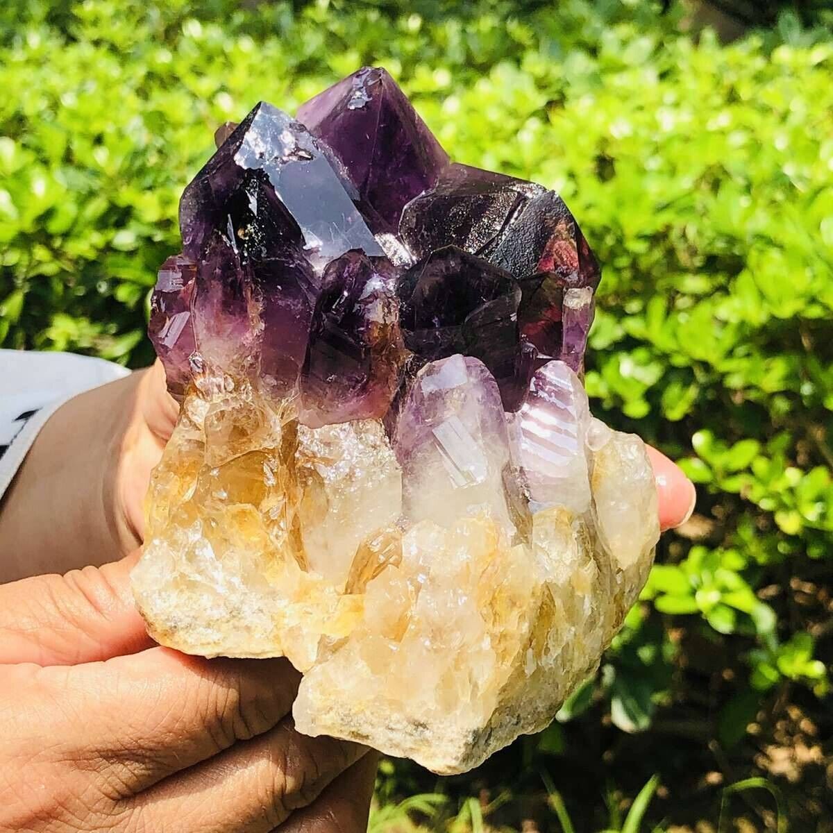 1.78LB Natural Amethyst Cluster Purple Quartz Crystal Rare Mineral Specimen 611