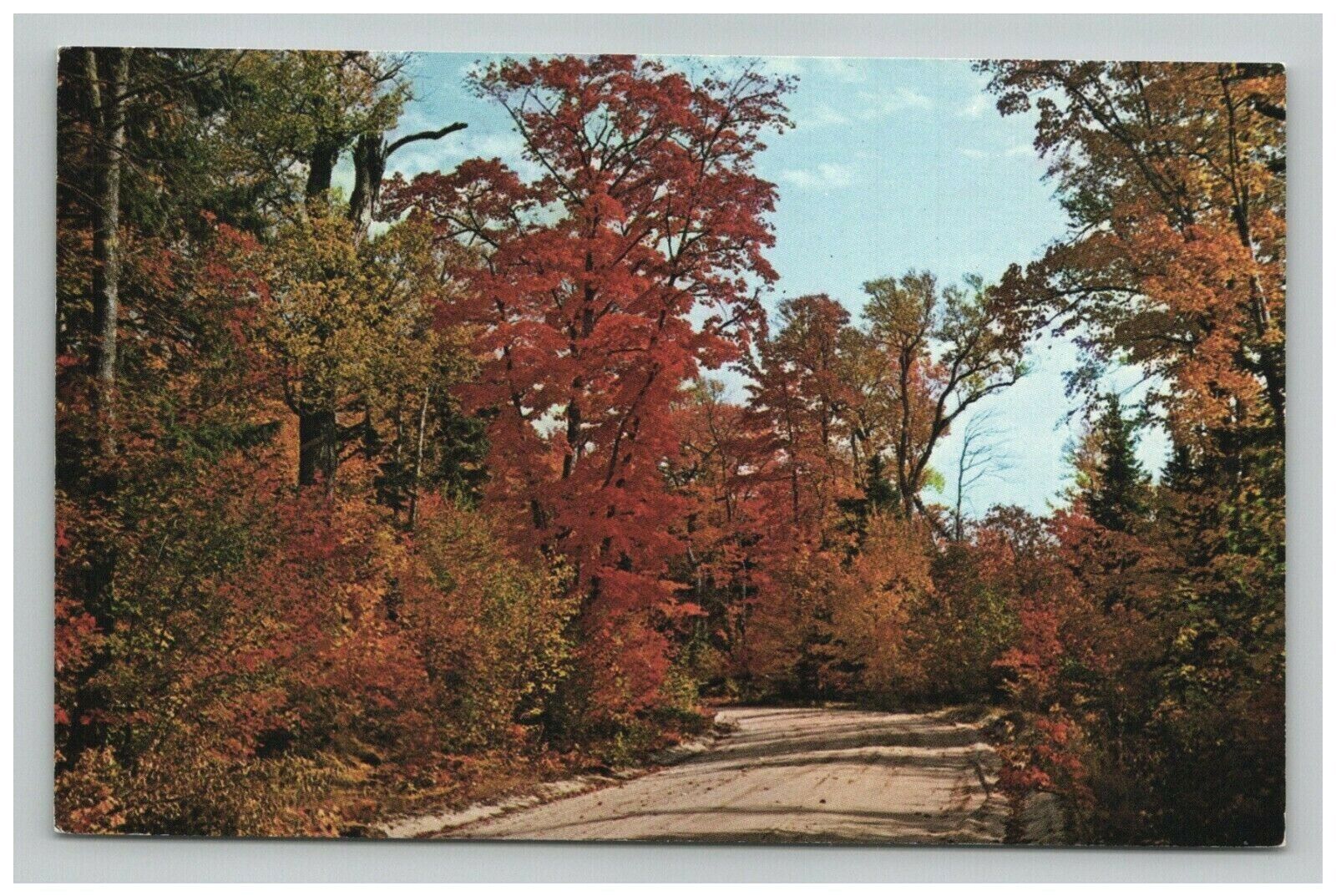 Postcard MI Autumn Colored Trees Dirt Country Road Scenic View Michigan      