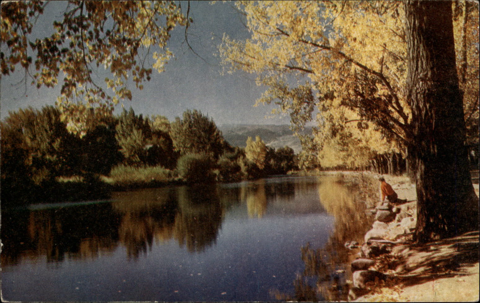 Reno Nevada Truckee River fall foliage 1950s Wesco Mike Roberts vintage postcard