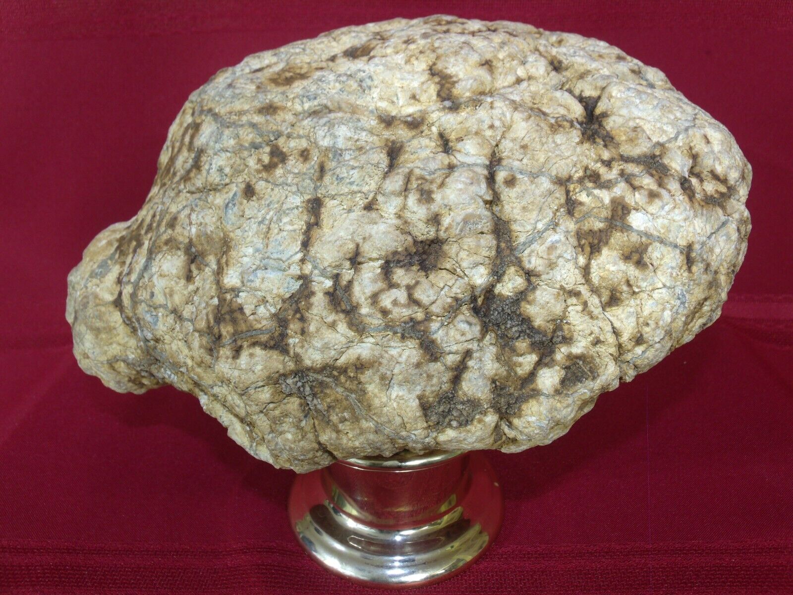 Huge Unopened KY Turtle Shaped Geode Large 14.7 lbs Crystal Quartz Natural Gift