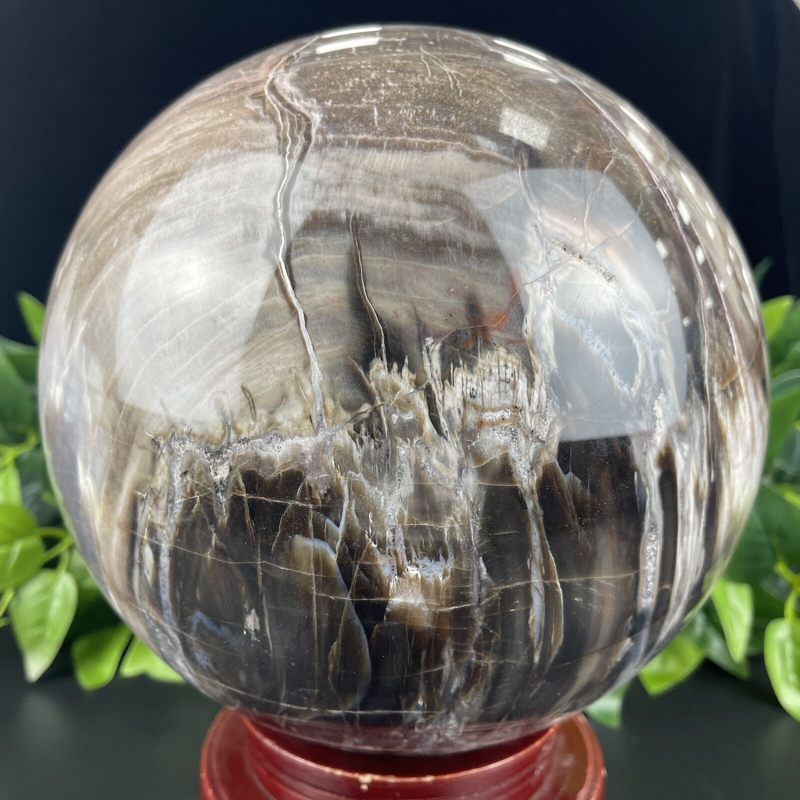 30LB Giant Petrified Wood Crystal Sphere Petrified Wood Hand Carved Crystal Ball