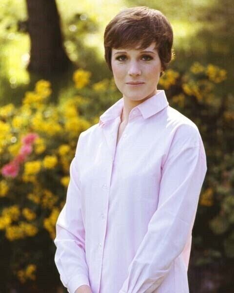 Julie Andrews lovely 1960\'s smiling portrait in pink shirt 4x6 photo