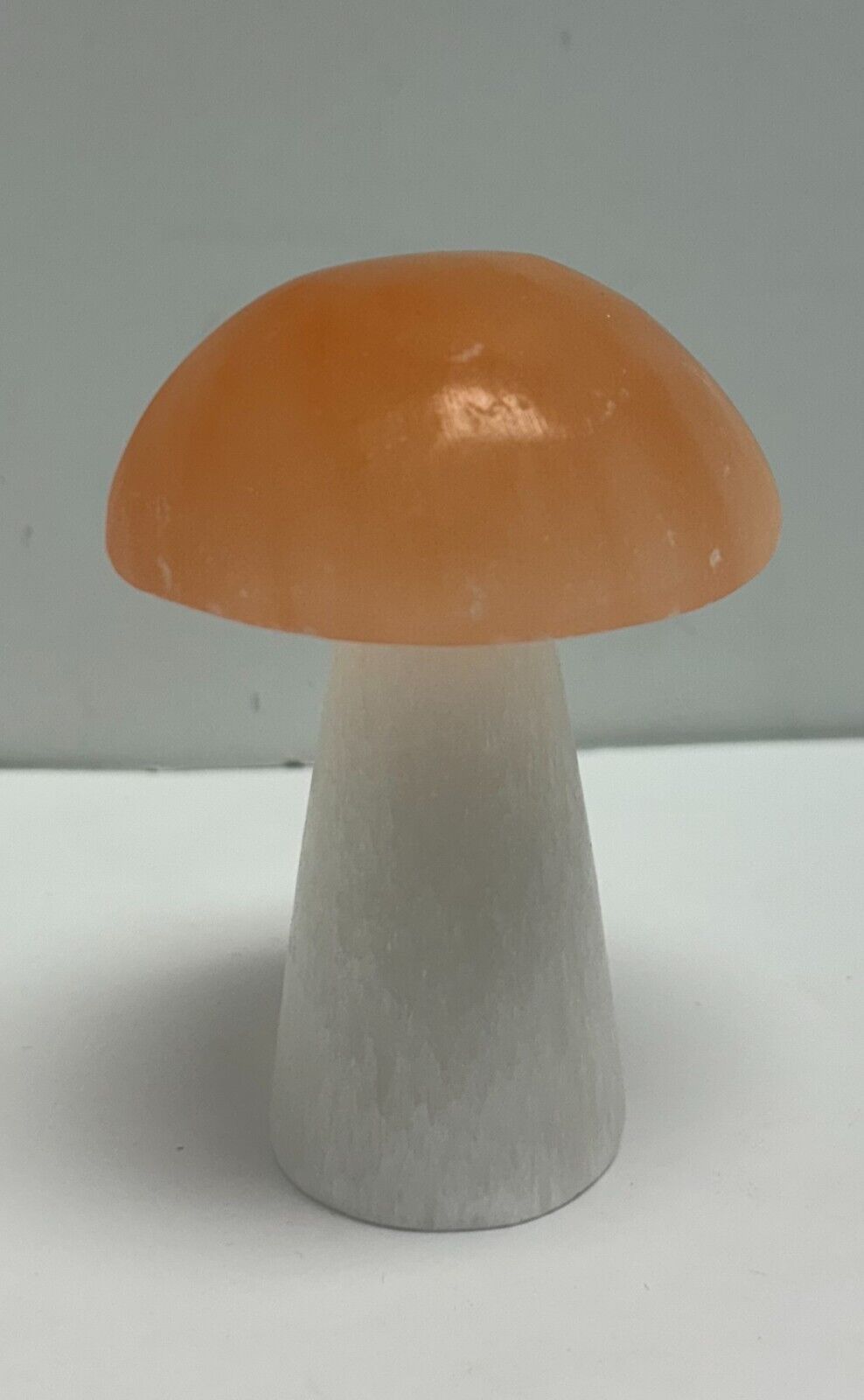 Selenite Mushroom Polished Orange x White Moroccan Selenite ~4\