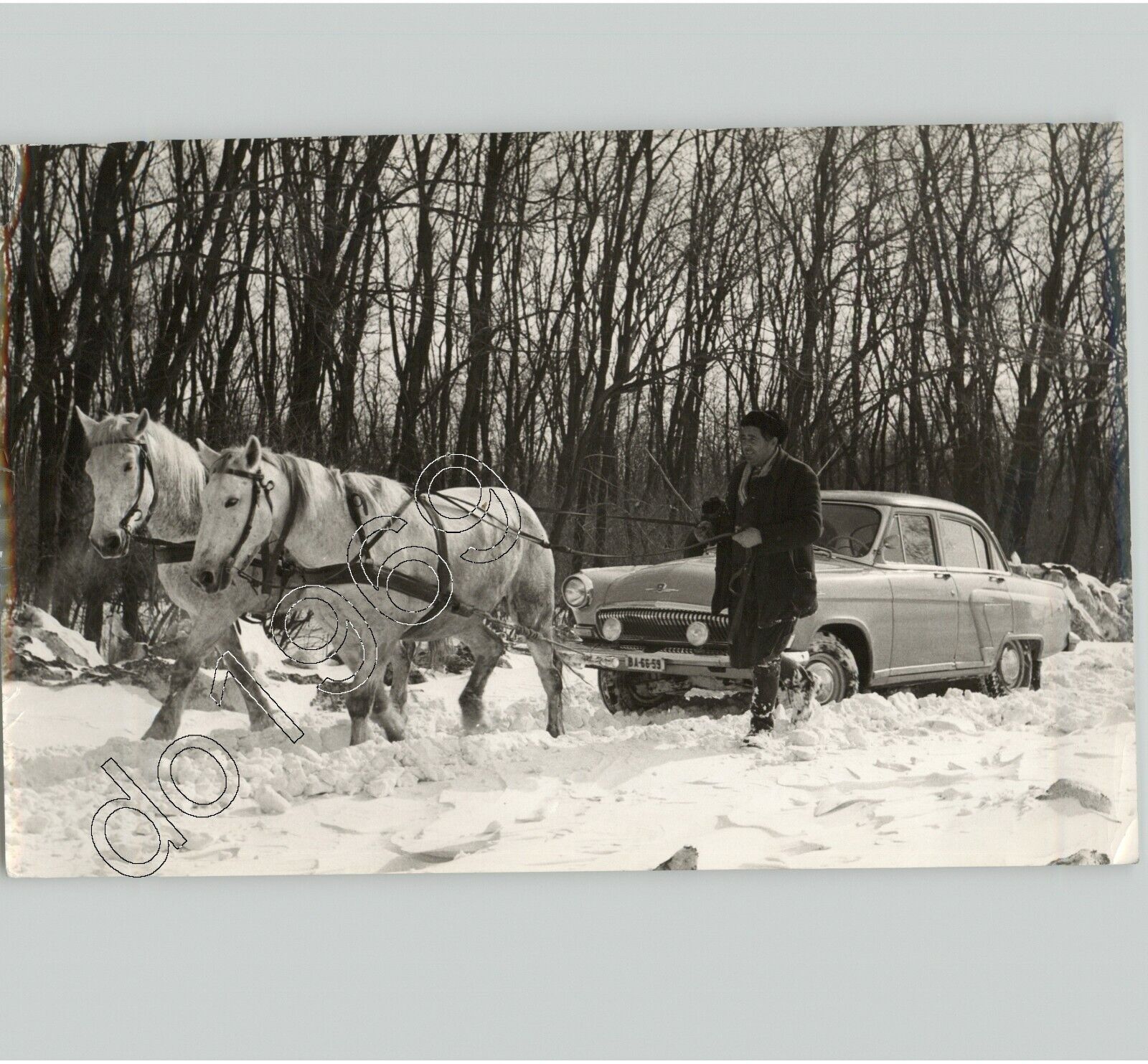 Two Horses Pull Car After SNOWSTORM In HUNGARY Eastern Europe 1970 Press Photo