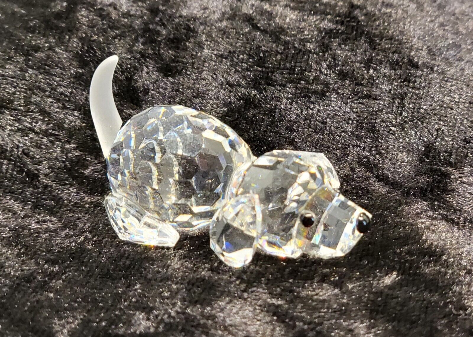 Swarovski Crystal * Beagle Puppy Playing * A 7619 NR 000 004 * 172296