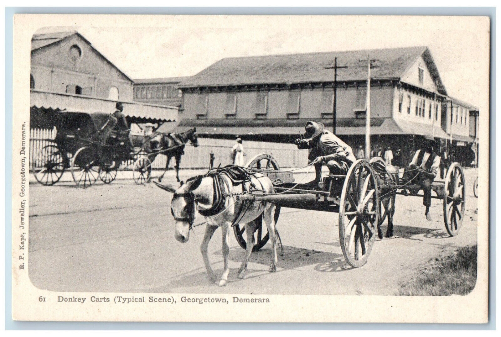 Georgetown Demerara Guyana Postcard Donkey Carts (Typical Scene) c1910