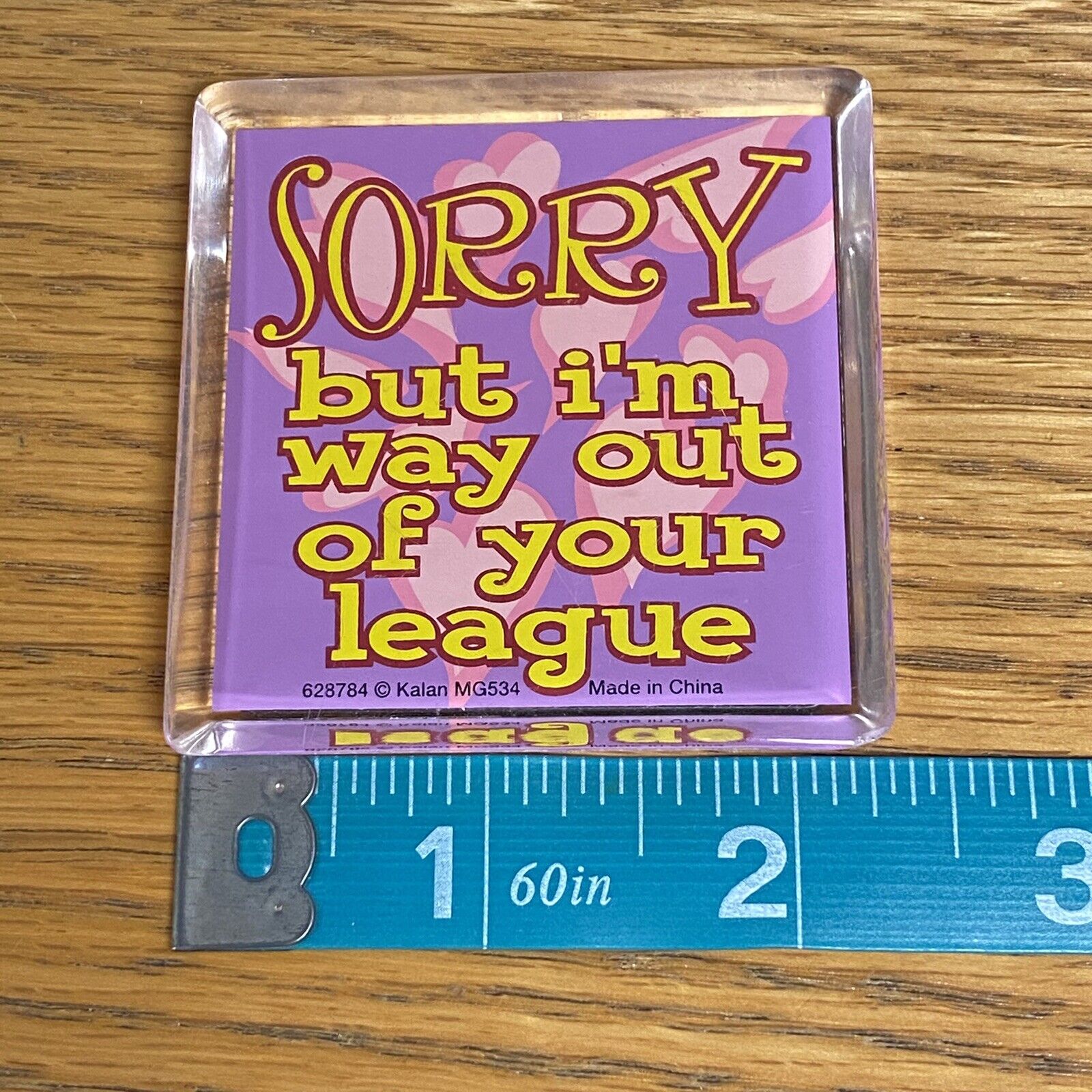 Sorry But I\'m Way out Of Your League Kalan Magnet 628764 MG534