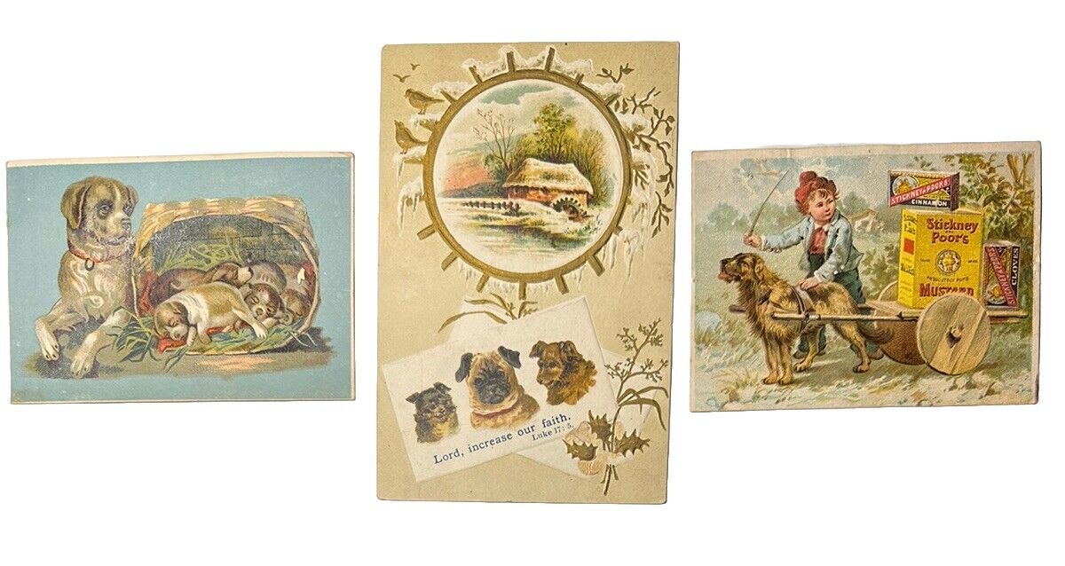 3 Victorian Trade Cards DOGS Stickney & Poor’s, Luke 17:5  B77