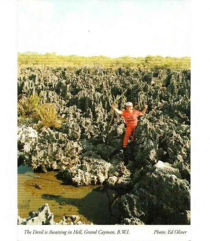 VTG Postcard 1993 The Devil Is Awaiting In Hell Grand Cayman Islands BWI New 