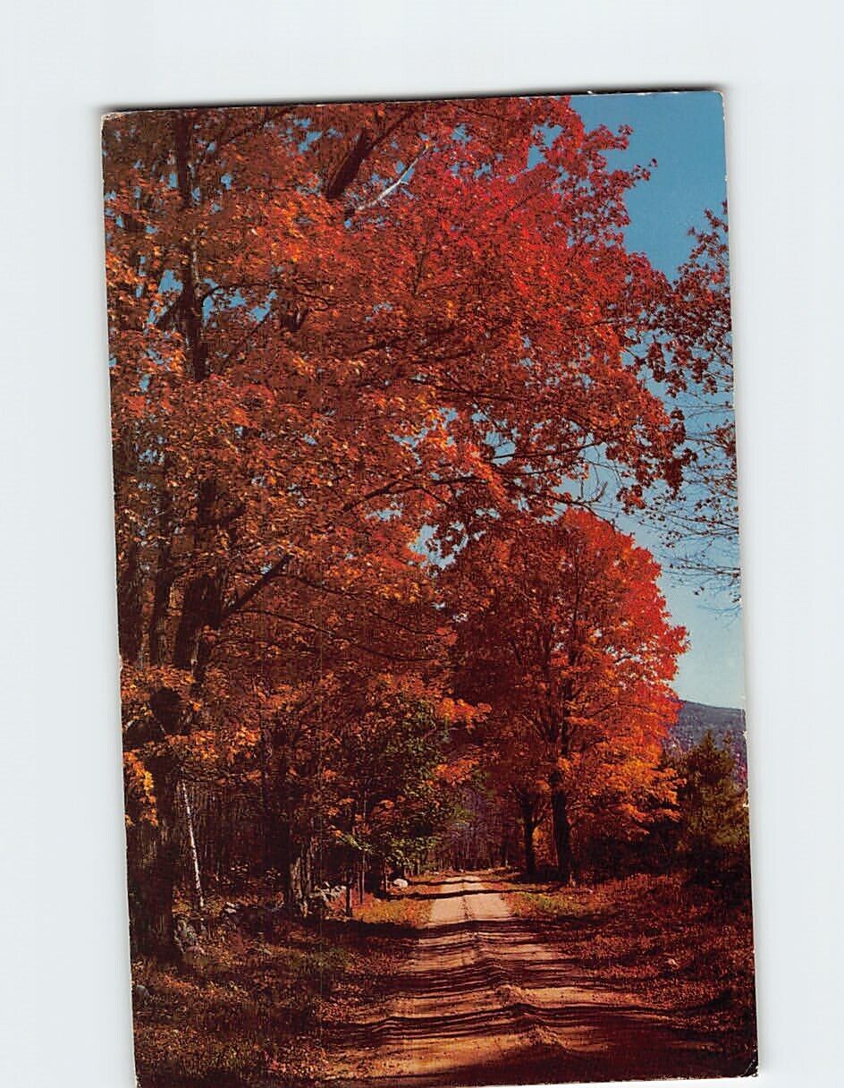 Postcard Beautiful Autumn Road Scene
