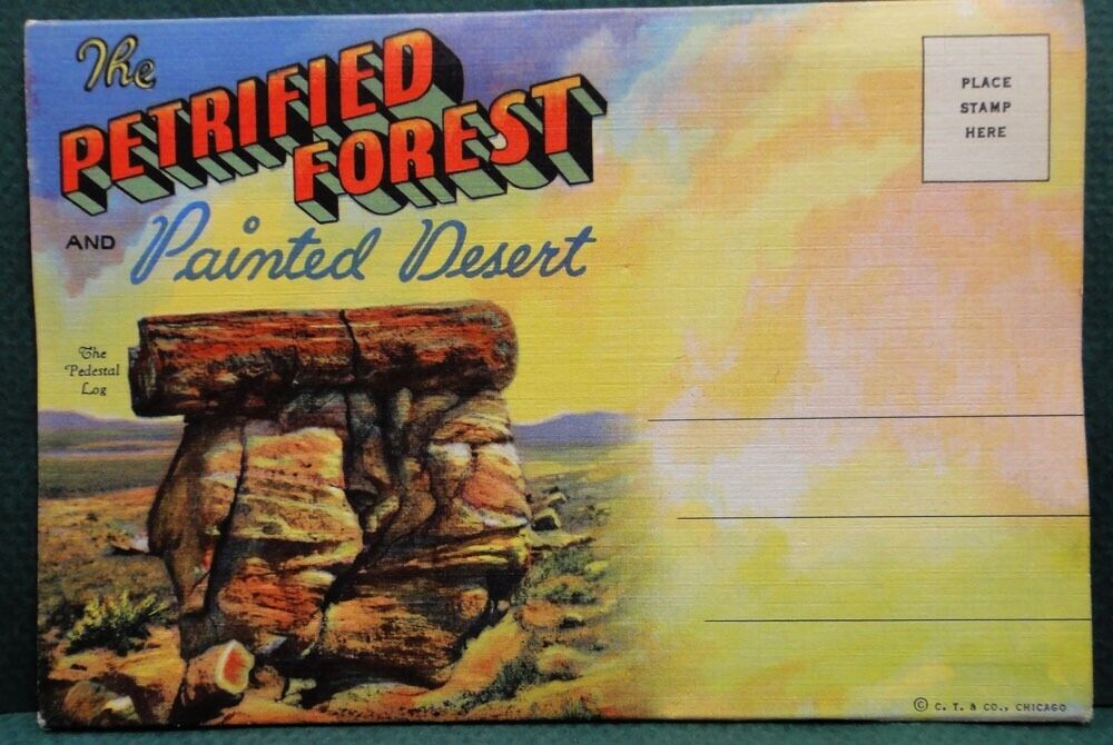 vintage PC LINEN FOLDER~UNUSED~PETRIFIED FOREST AND PAINTED DESERT,desert,trees.