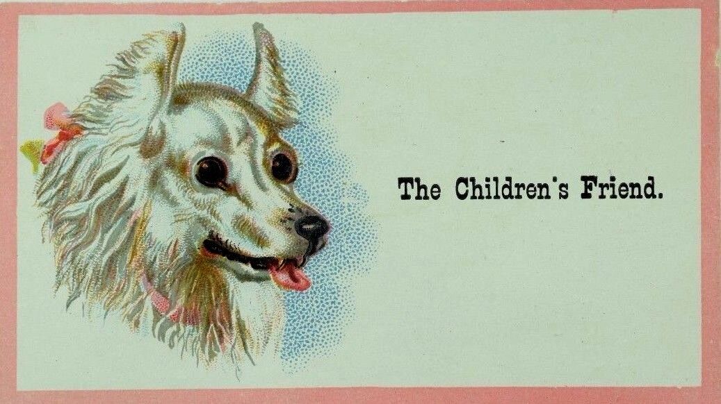 1870's-80's J. H Dudley & Co. The Children's Friend Fluffy White Dog P82