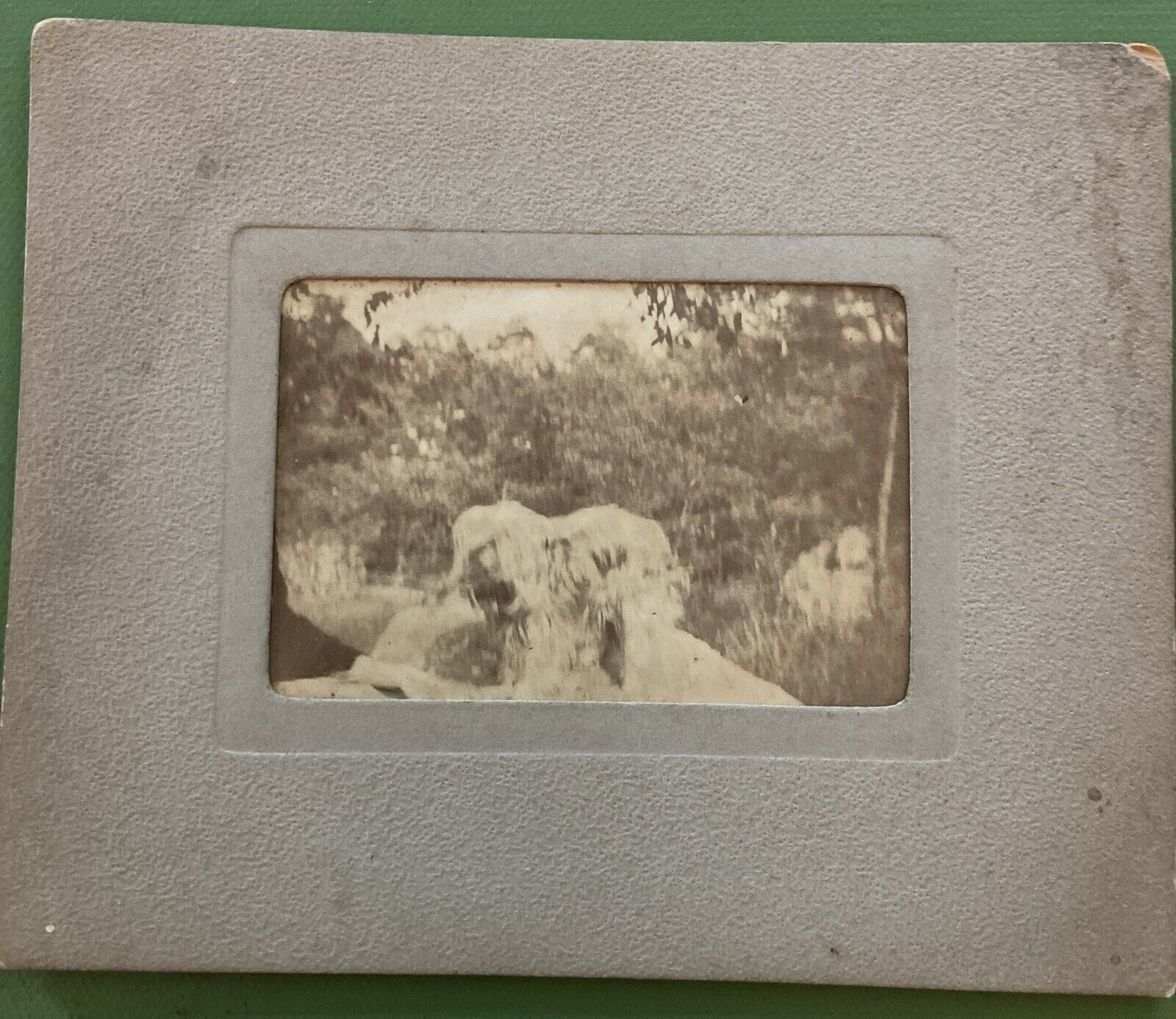CDV 19th Century Outdoor Family Dog Antique Photograph