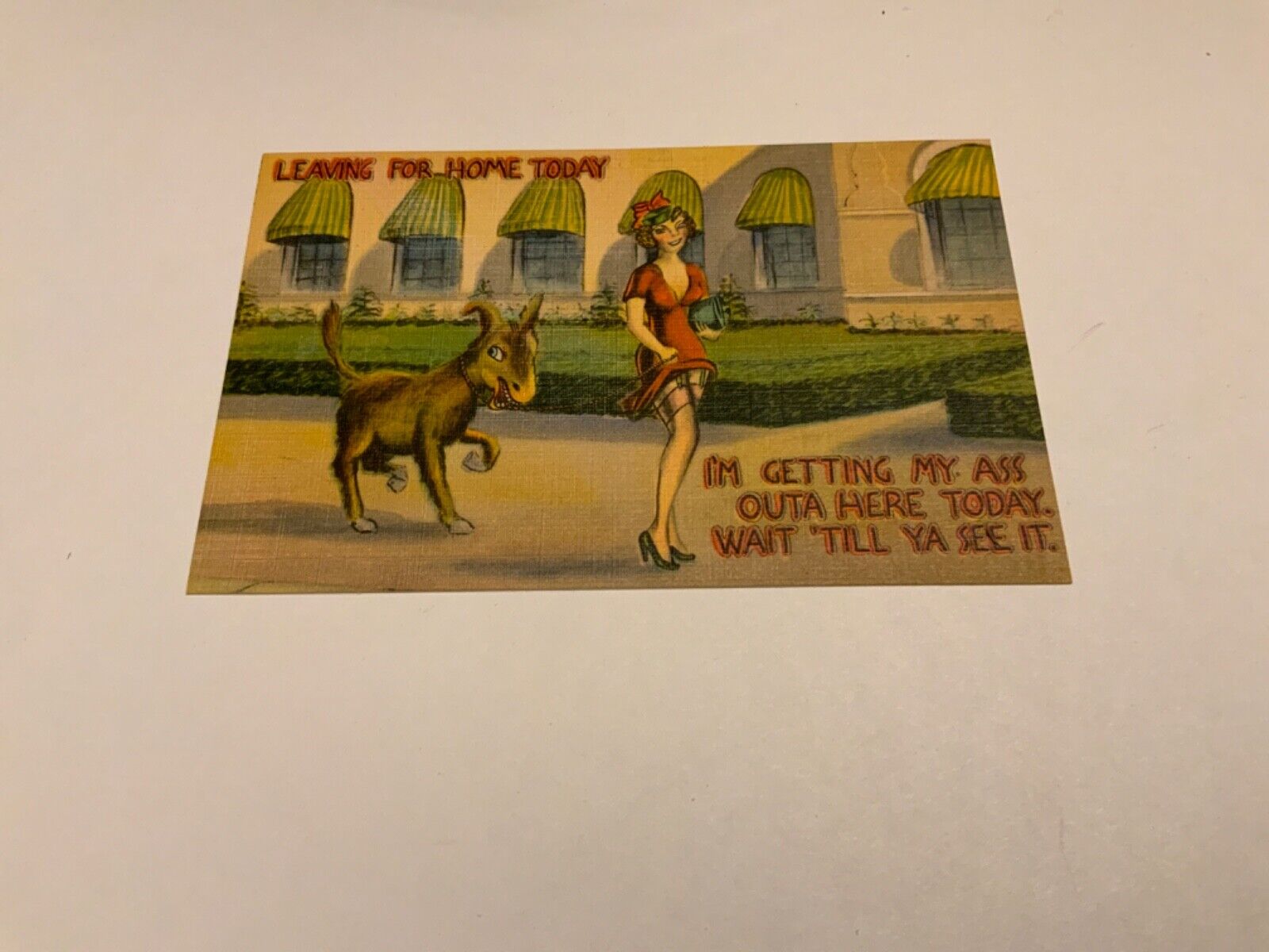 Getting My Ass Outa Here ~ Risqué Beauty Ass Comic Linen Unused Vintage Postcard