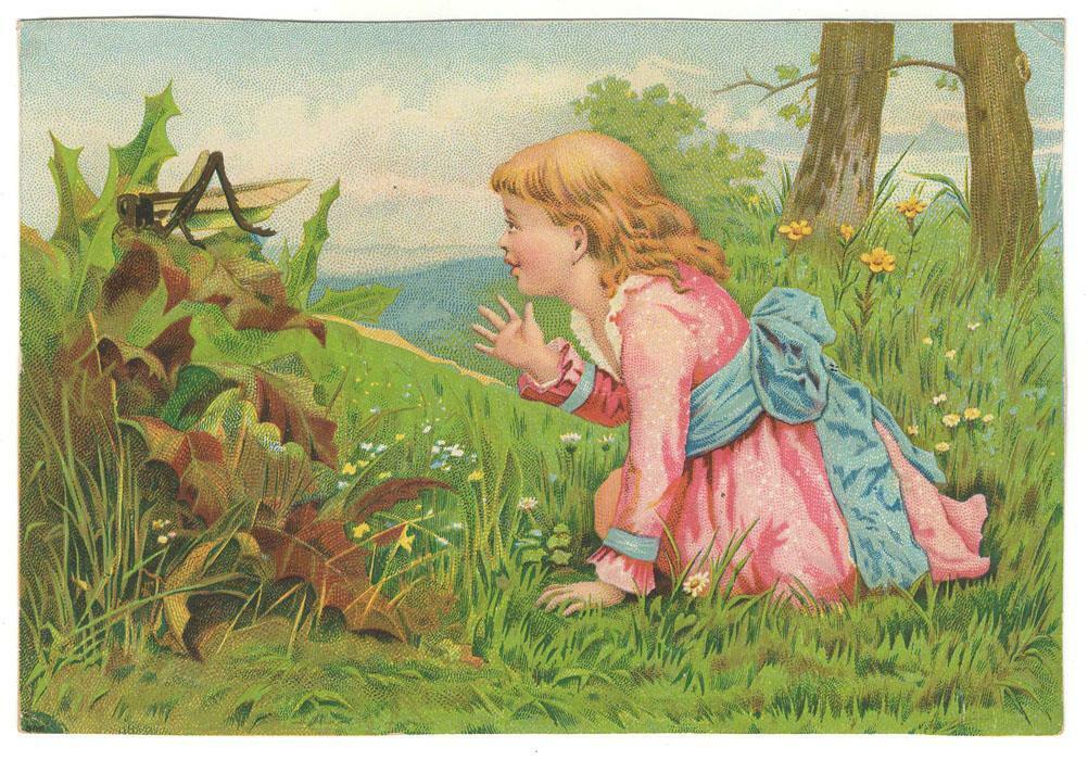 The Great China & Pacific Tea Co Victorian Trade Card Girl In Grass Grasshopper
