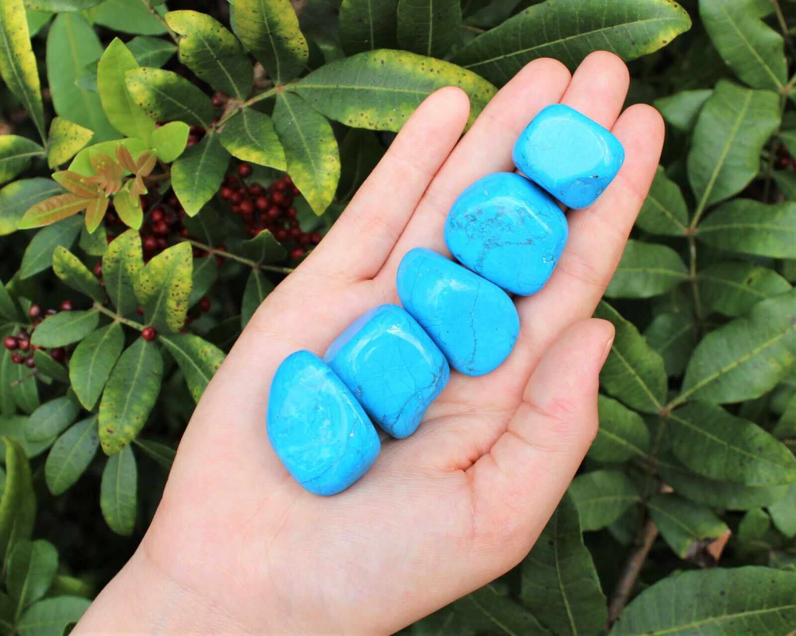 5 Blue Howlite Tumbled Stones (Crystal Healing Gemstone Tumbled Blue Turquoise)