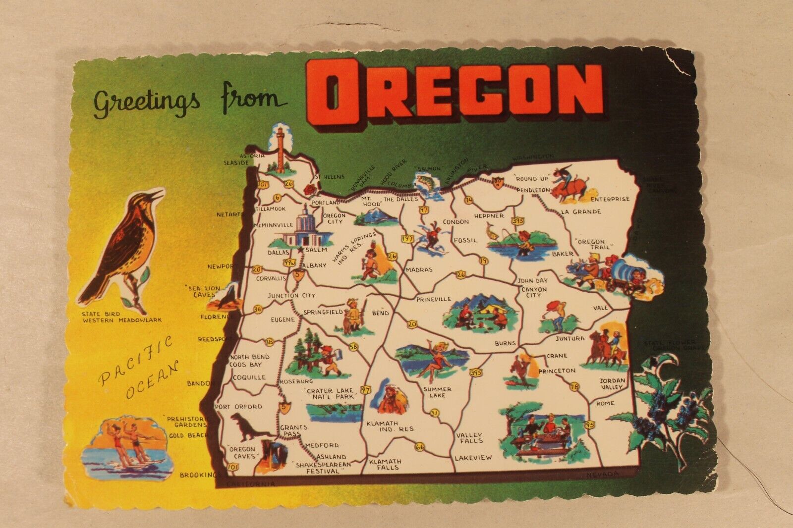 Greetings From Oregon Postcard, Unposted