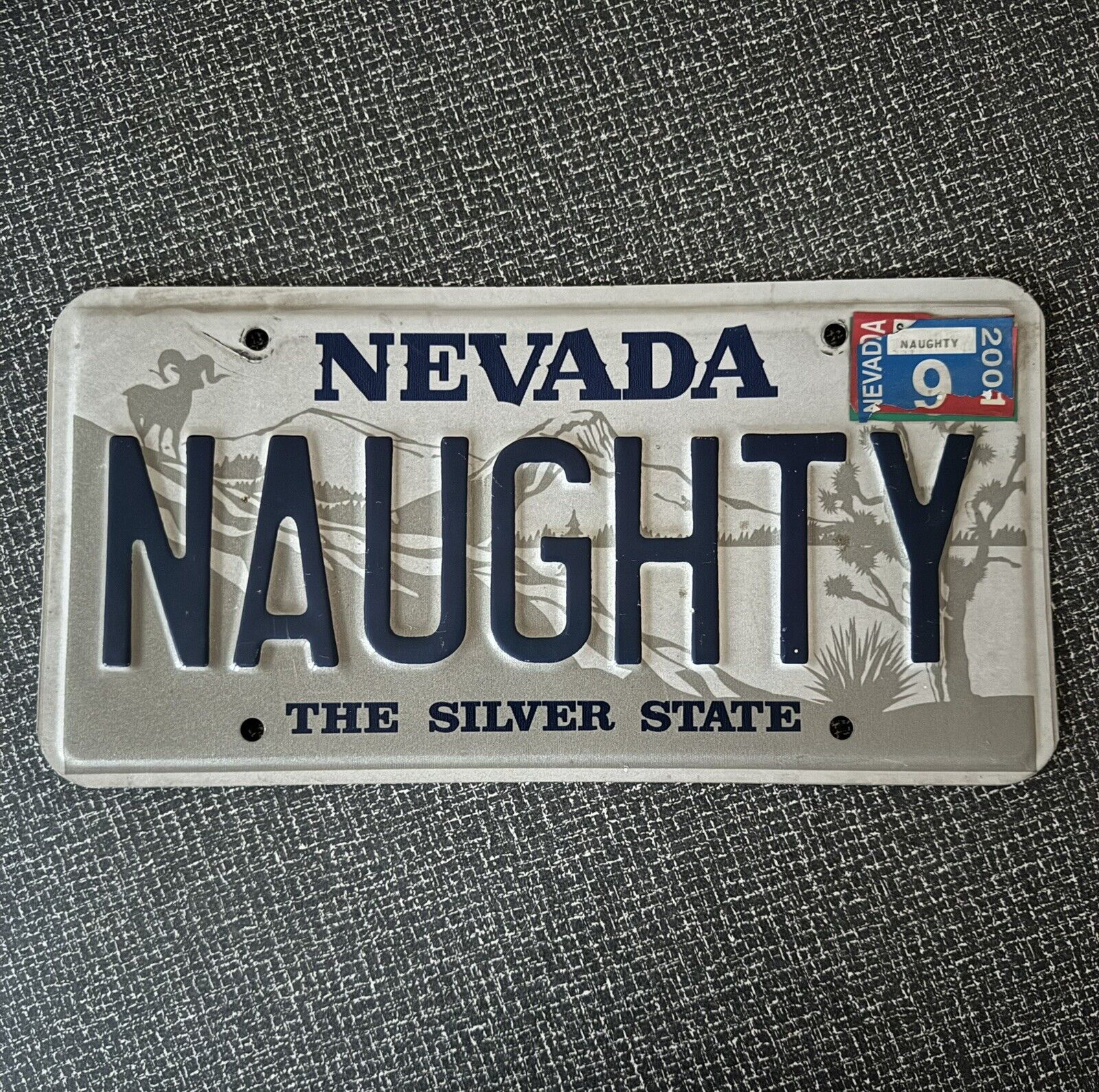 Vintage 80s 90s Nevada Personal Vanity NAUGHTY License Plate Expired 😈