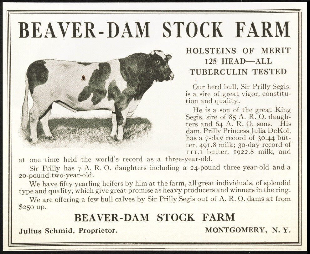 1915 Beaver-Dam Stock Farm Holstein Bull Cow Sir Prilly Segis Antique Vtg AD