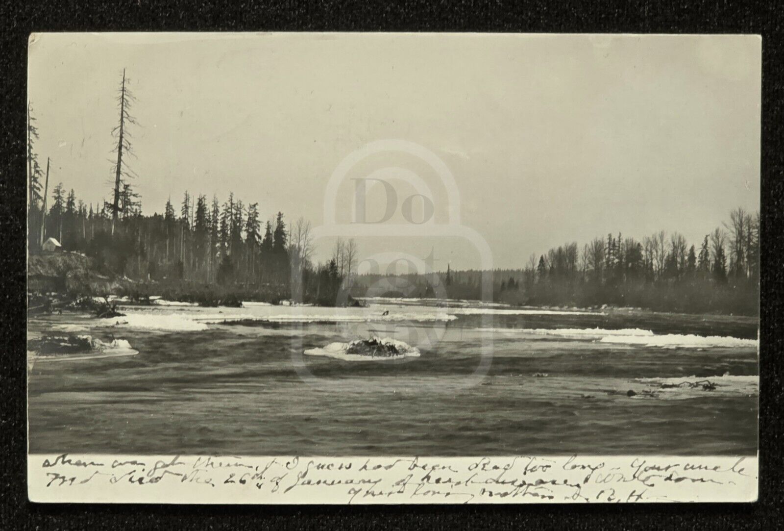 Scarce RPPC Cowlitz River. Castle Rock, Washington. C 1907 Cowlitz County 