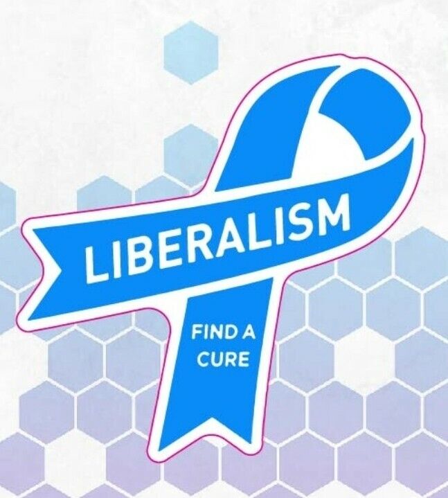 Liberalism Is A Mental Disorder Sticker Blue Ribbon 3 PACK five inches long 
