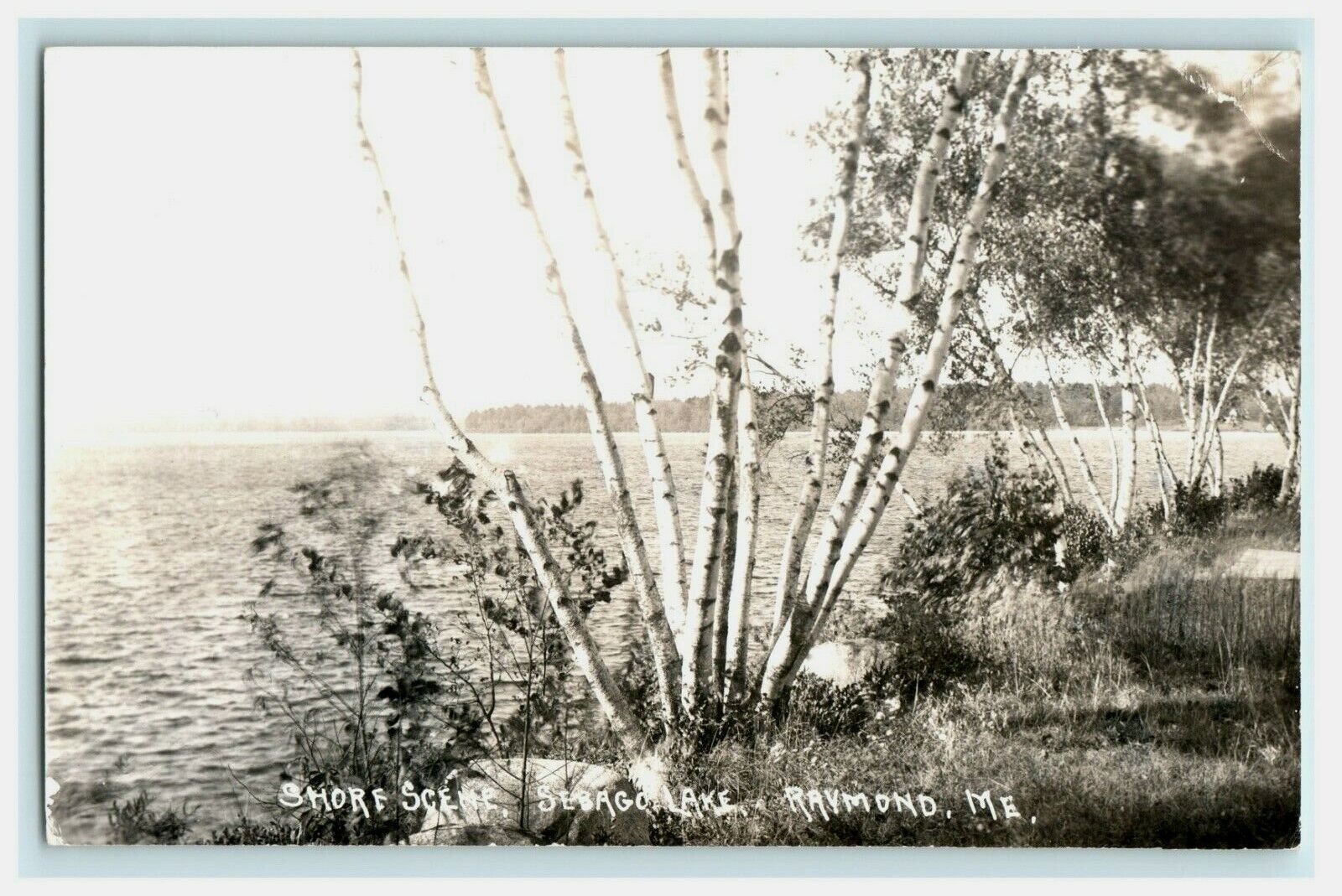 Shore Scene Sebago lake Raymond ME Maine RPPC Vintage Postcard 