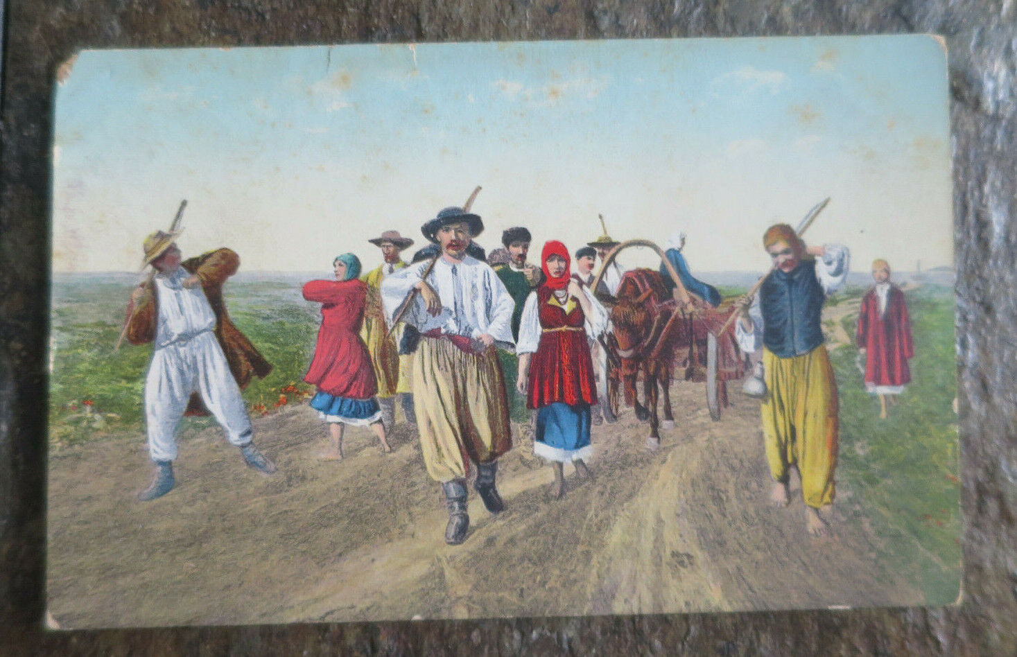 Postcard Eastern European Ukraine Type Ox Cart woman men Road Village