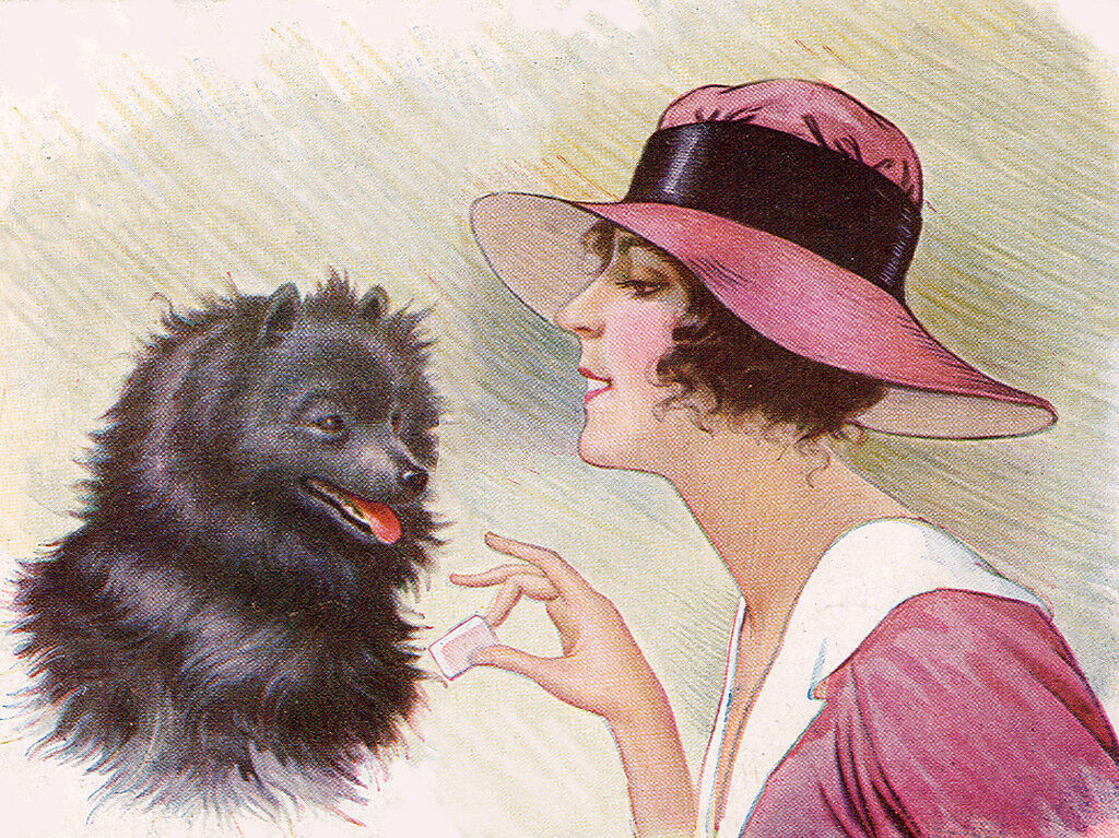 POMERANIAN SPITZ DOG GREETINGS NOTE CARD LOVELY BLACK DOG WITH GLAMOUR LADY