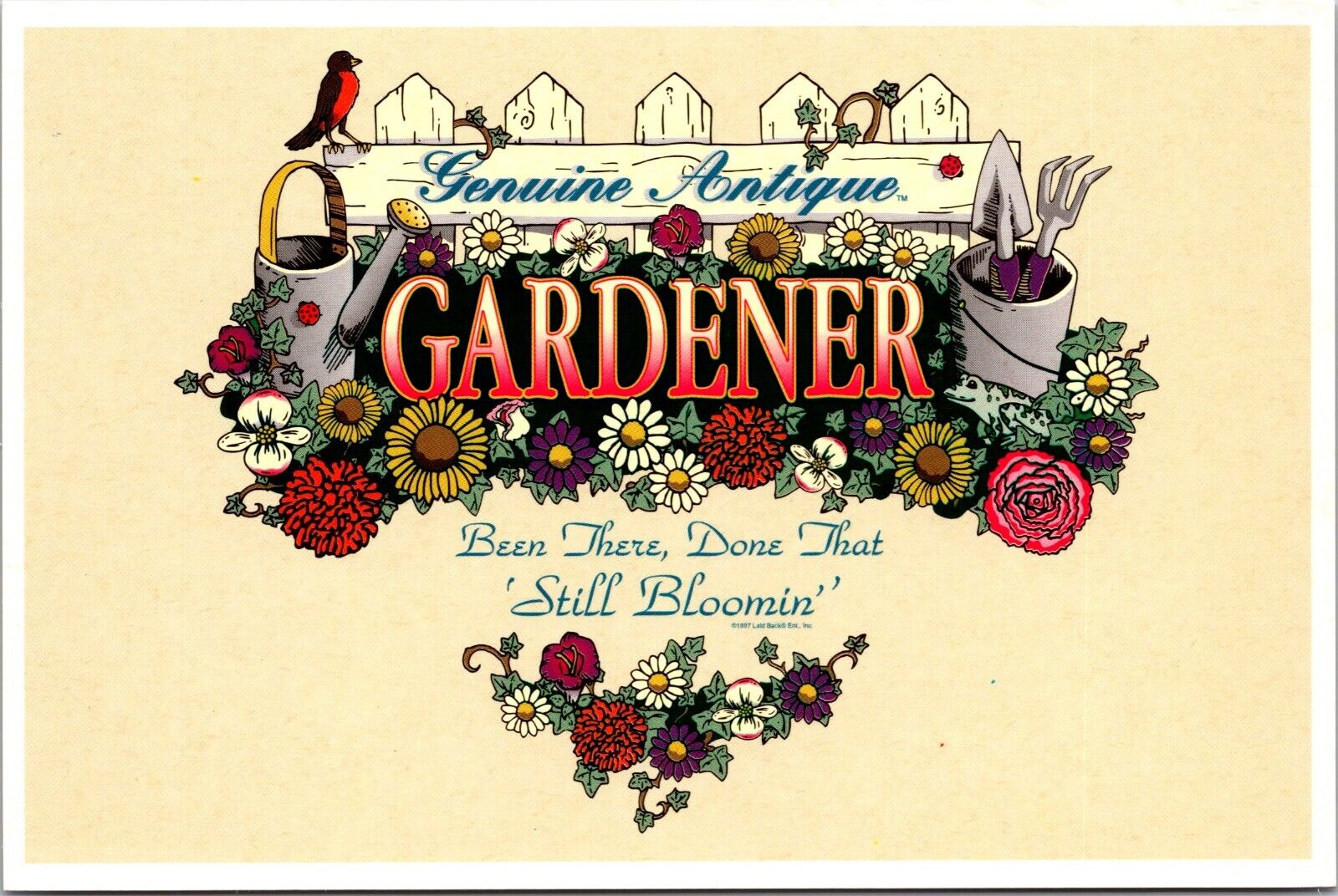 Postcard Unused Genuine Antique Gardener Been There Done That still Blooming [aj