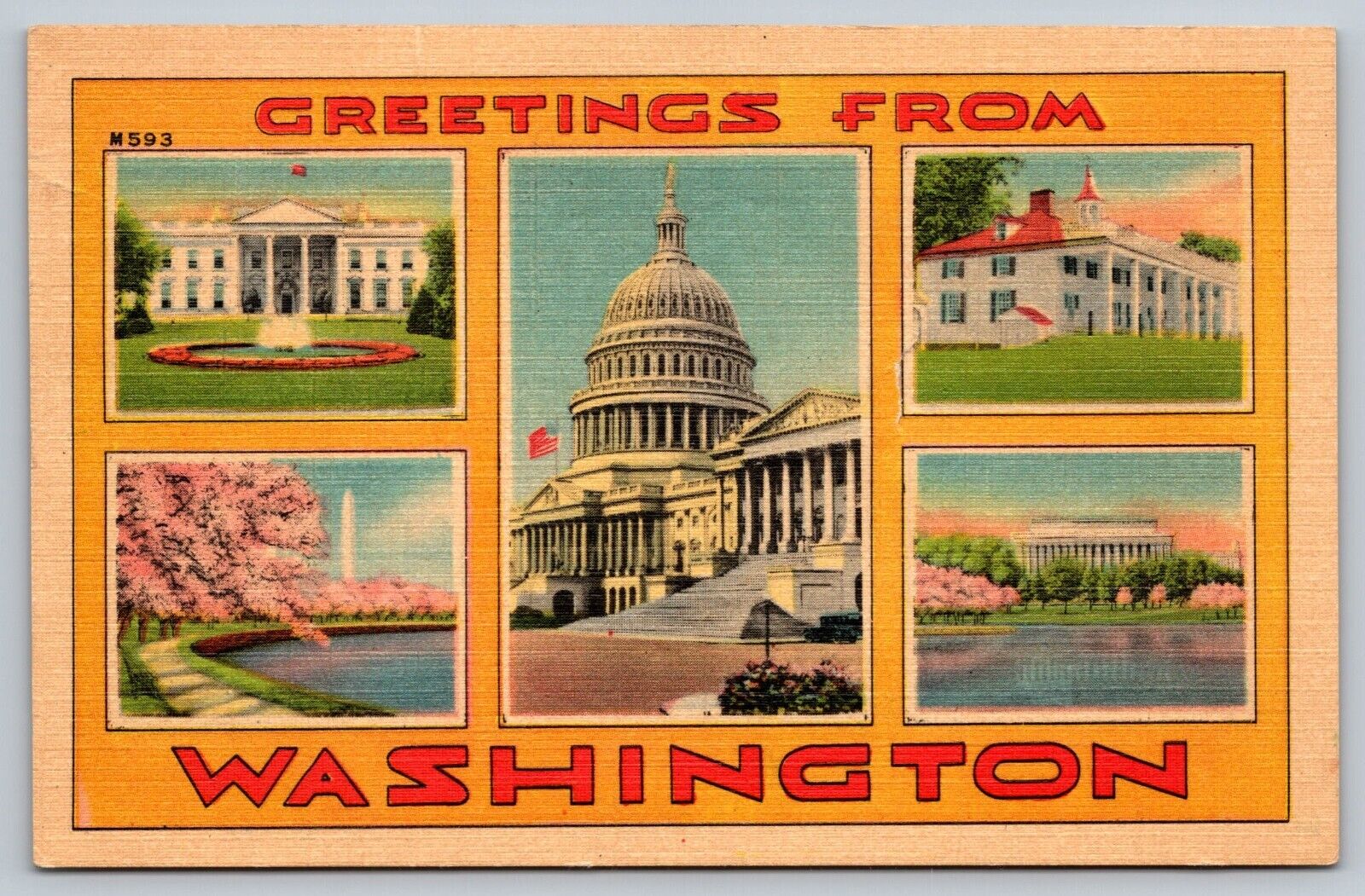 Greetings From Washington Postcard￼