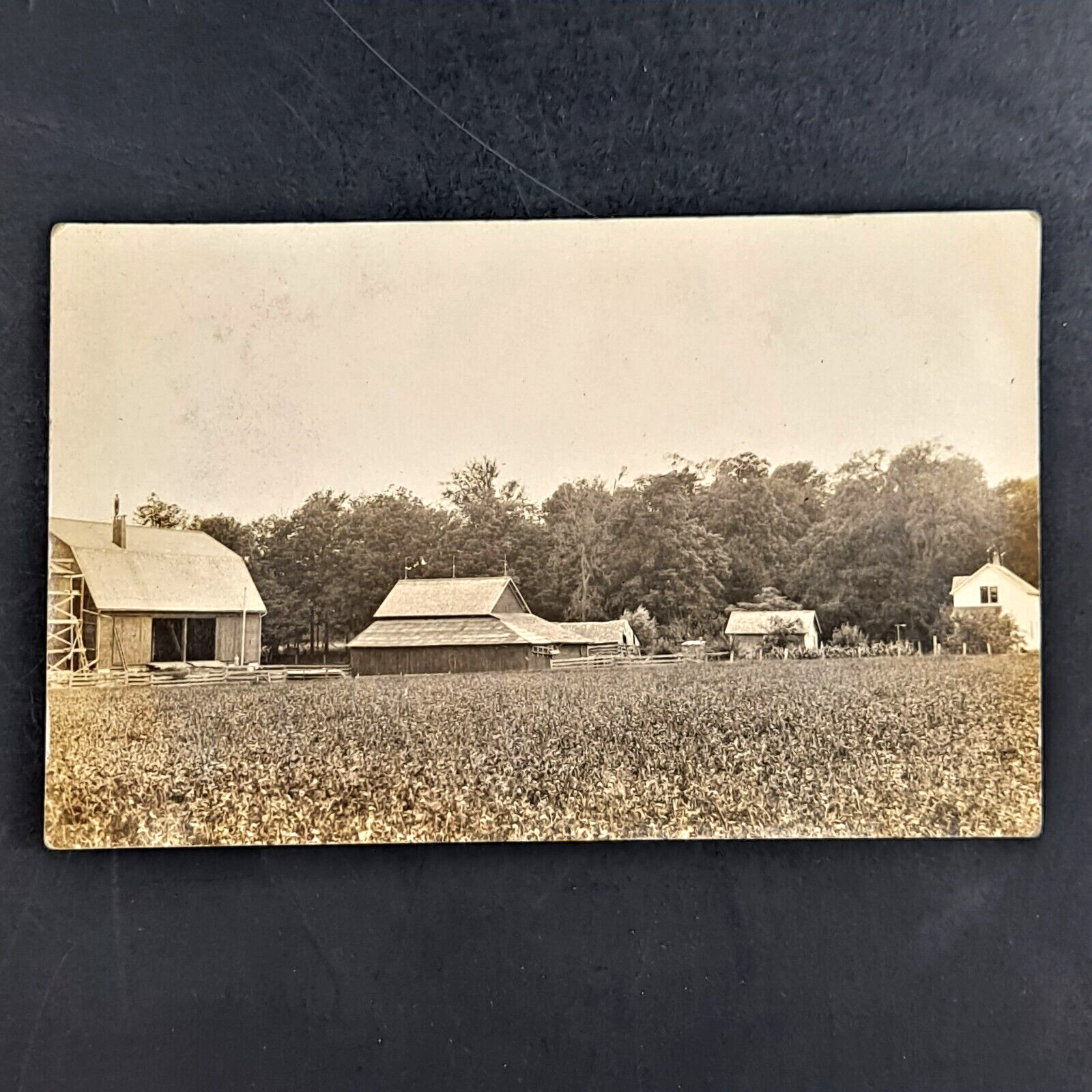 ANTIQUE DB REAL PHOTO POST CARD OF FARM LAND IN CENTRAL WISCONSIN RPPC UNPOSTED
