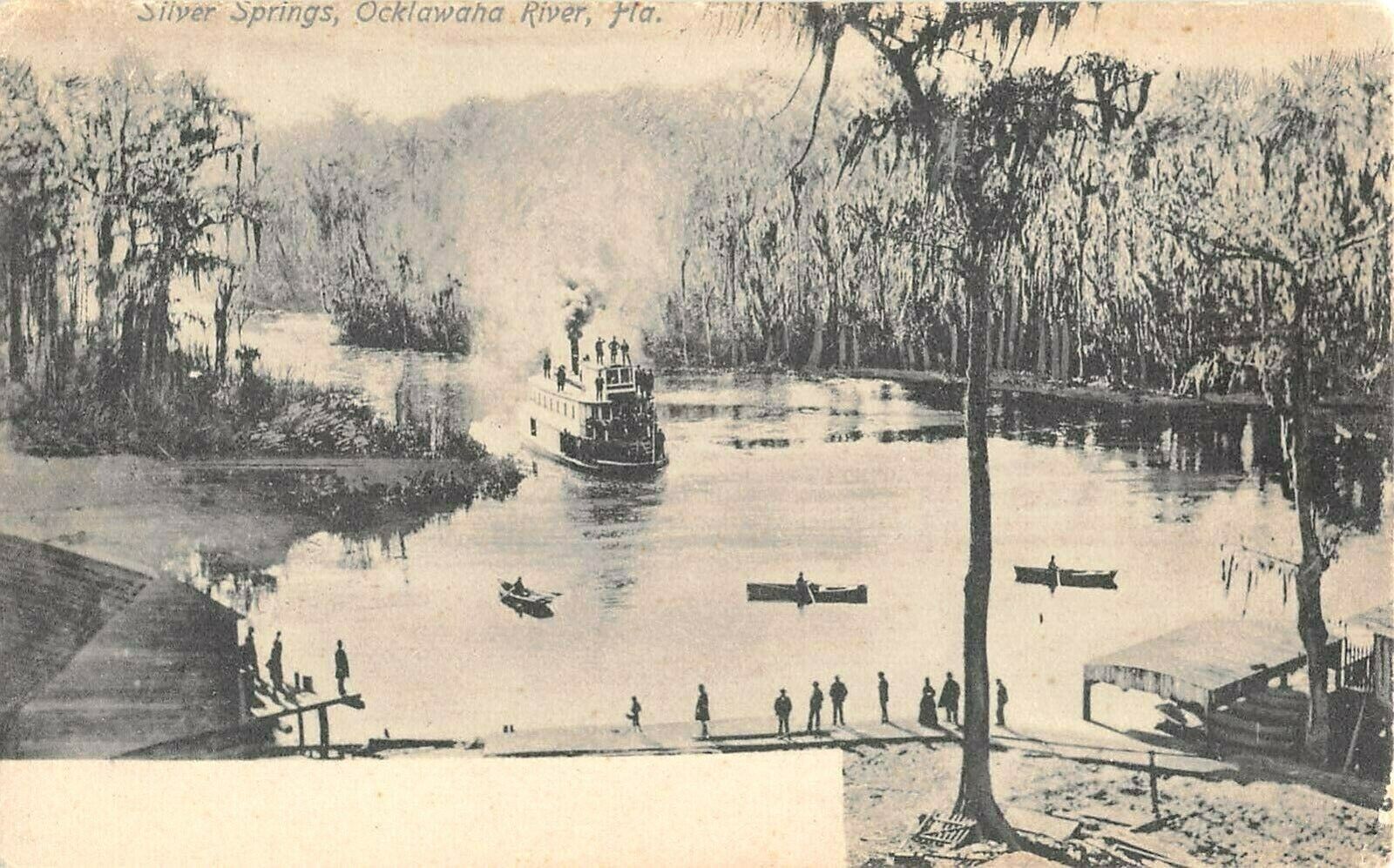 c.1905 Steamer at Silver Springs on Ocklawaha River FL post card