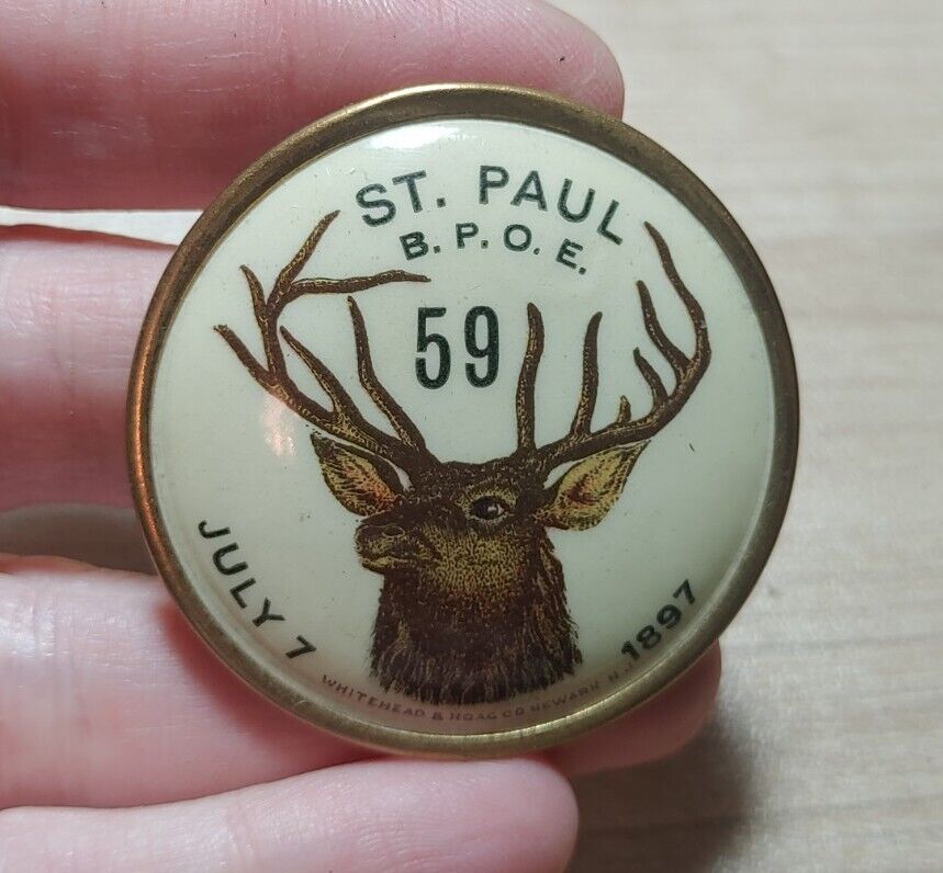 Vintage 1897 ST. Paul Order Of Elks Celluloid? Emblem