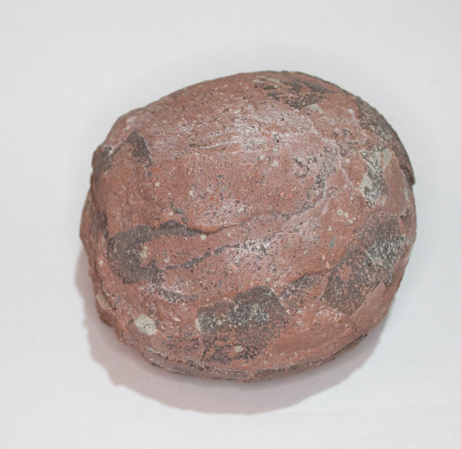 A lovely Hadrosaur Egg Fossil from the Cretaceous Age approx 4\
