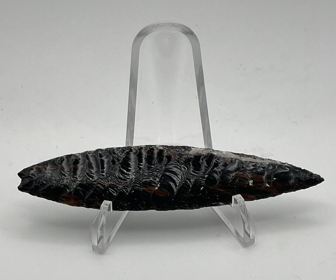 Very Fine Modern 4.25” Obsidian (w/mahogany stripes) Lance🔥👀