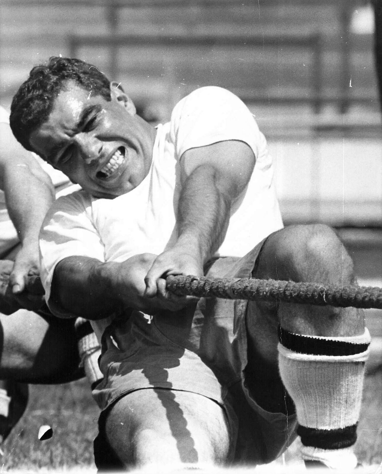 1967 Press Photo TUG OF WAR Team Man Strains Face Pulling Sport Championship UK