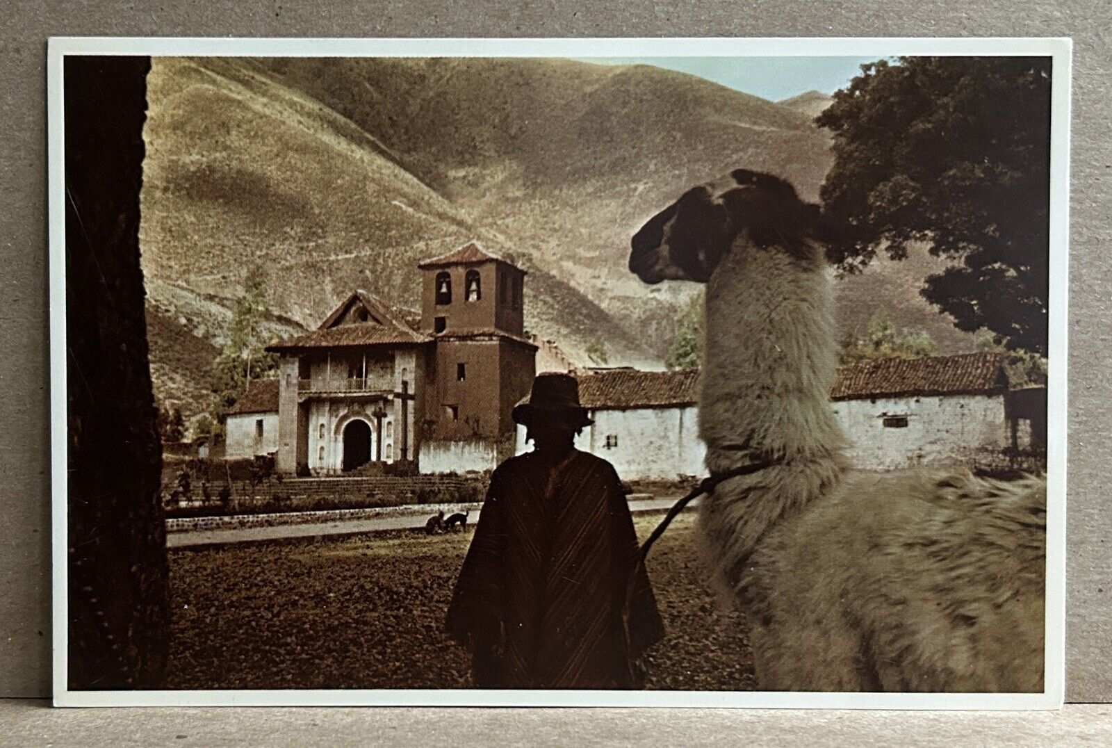 Postcard Peru • Native Man with Llama in the Peruvian Andes • Divided Back