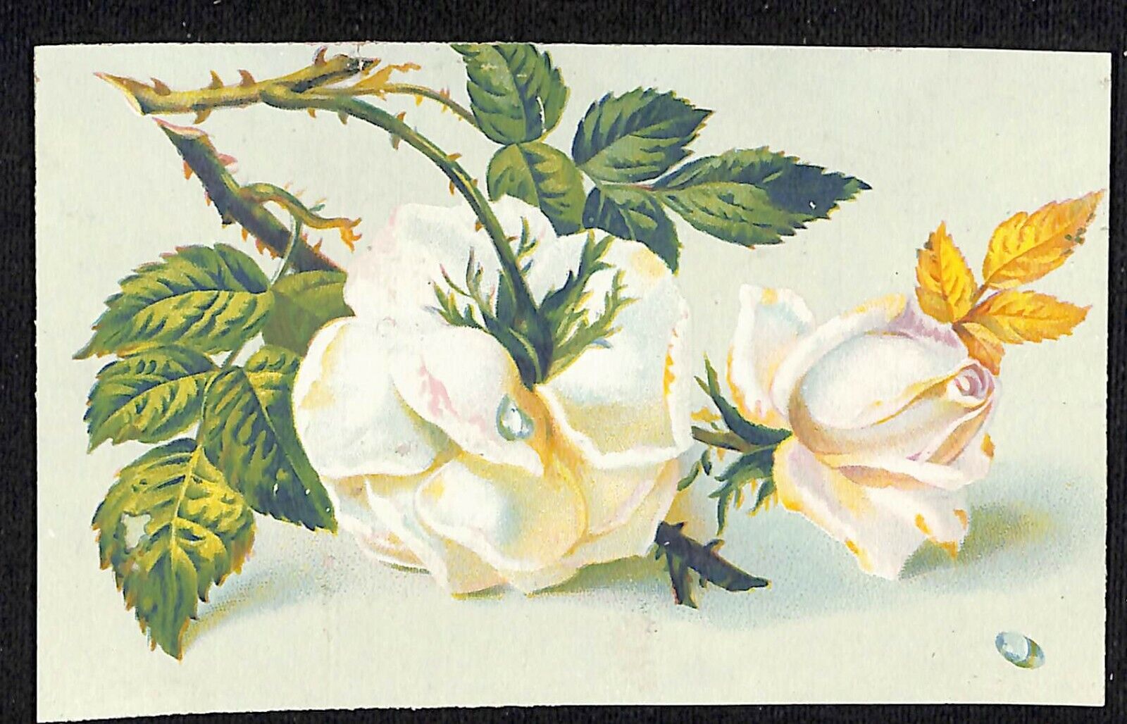 c1880\'s-90\'s Victorian Trade Card Union Tea & Coffee Burling Slip, NY Roses