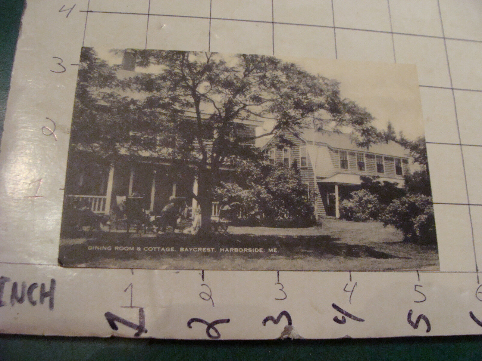 Vintage postcard; UNUSED -- DINING ROOM & COTTAGE, BAYCREST, HARBORSIDE, ME