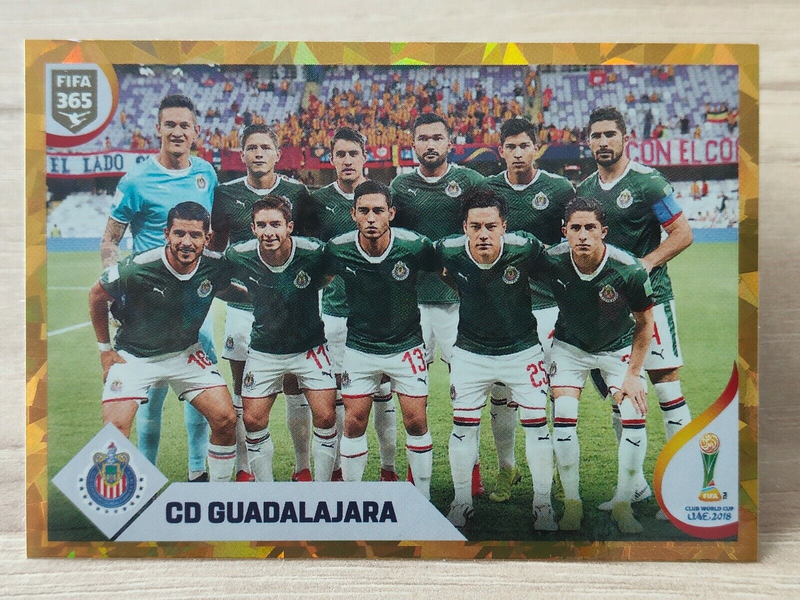 2020 Panini C137 FIFA 365 Sticker - Team CD Guadalajara #444