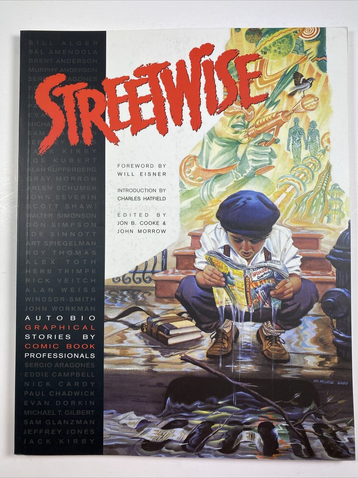 Streetwise-Graphic Novel-autobiographical stories by comic book artists book