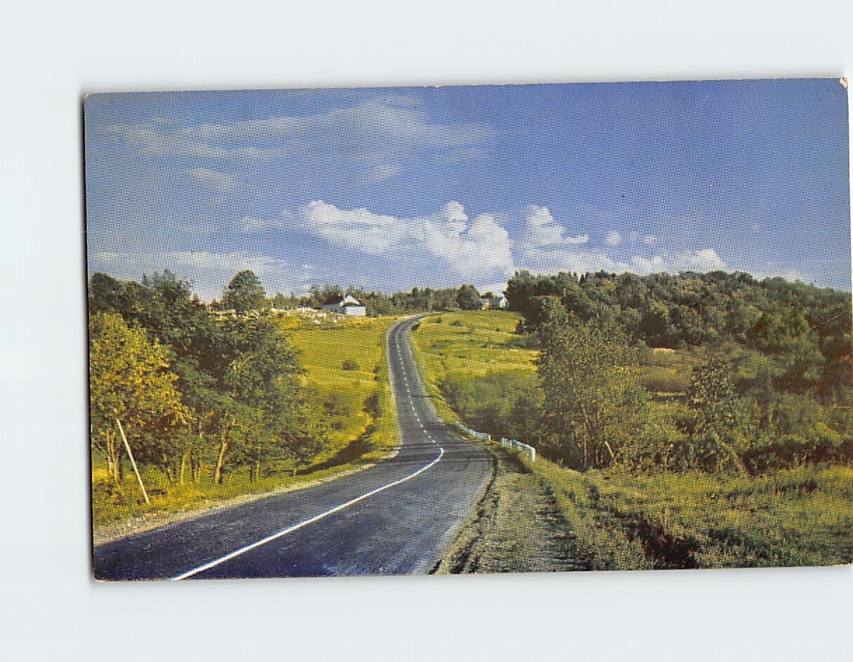 Postcard Maine Black Road Countryside USA North America