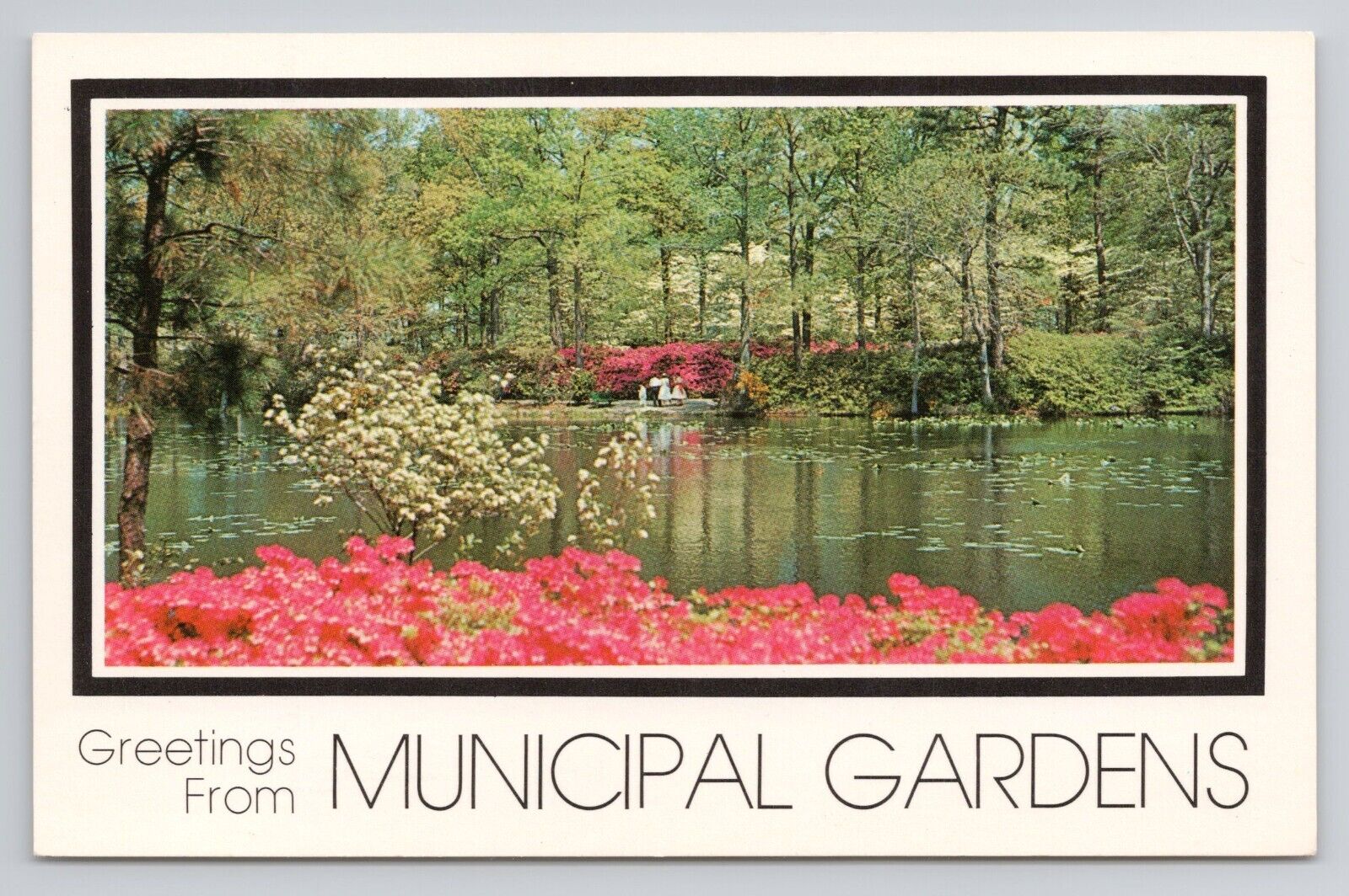 Greetings From Municipal Gardens Chrome Postcard 1216