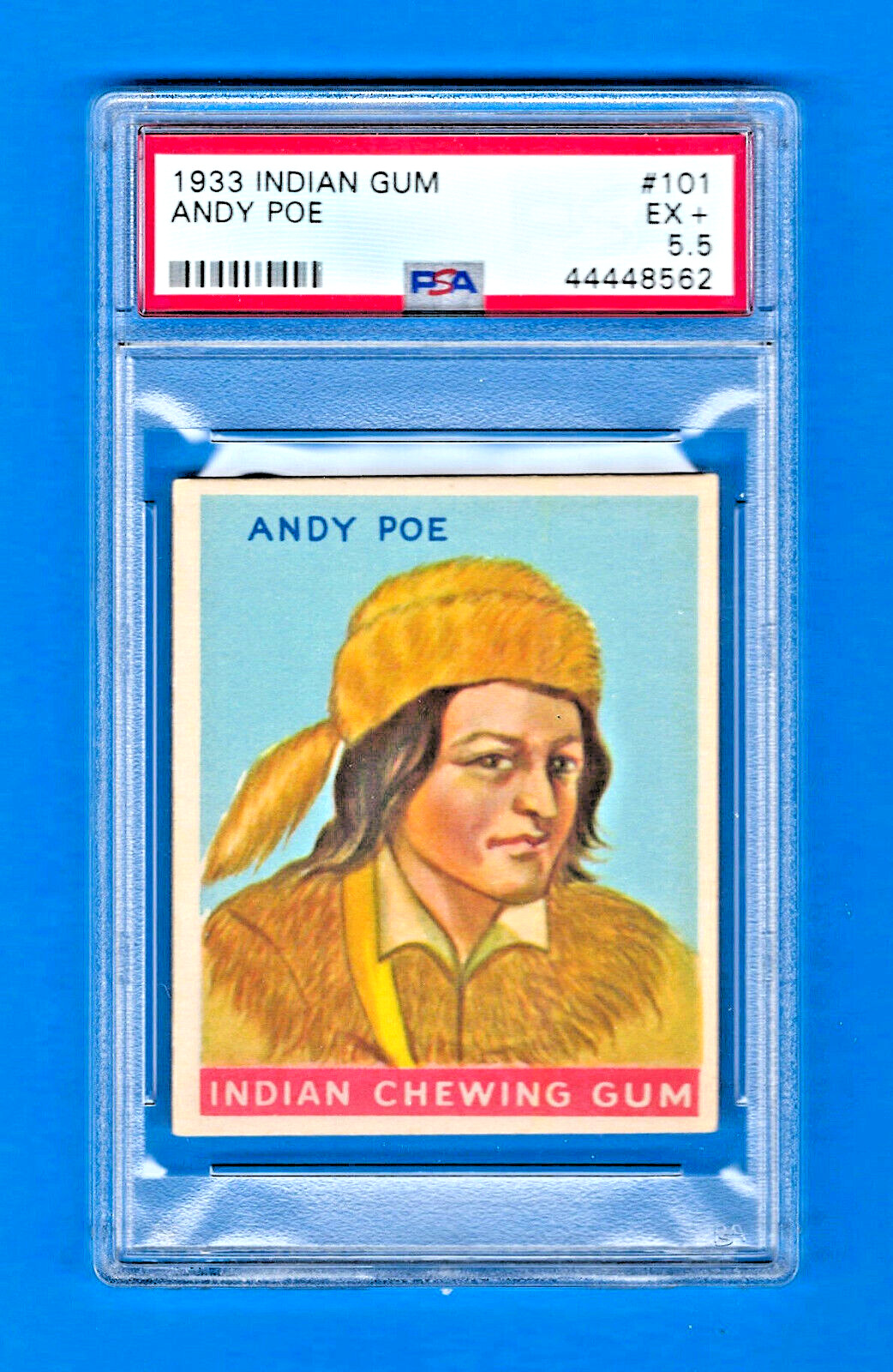 1933 R73 Goudey Indian Gum Card  #101 - ANDY POE - Series of 192 - PSA 5.5 - EX+