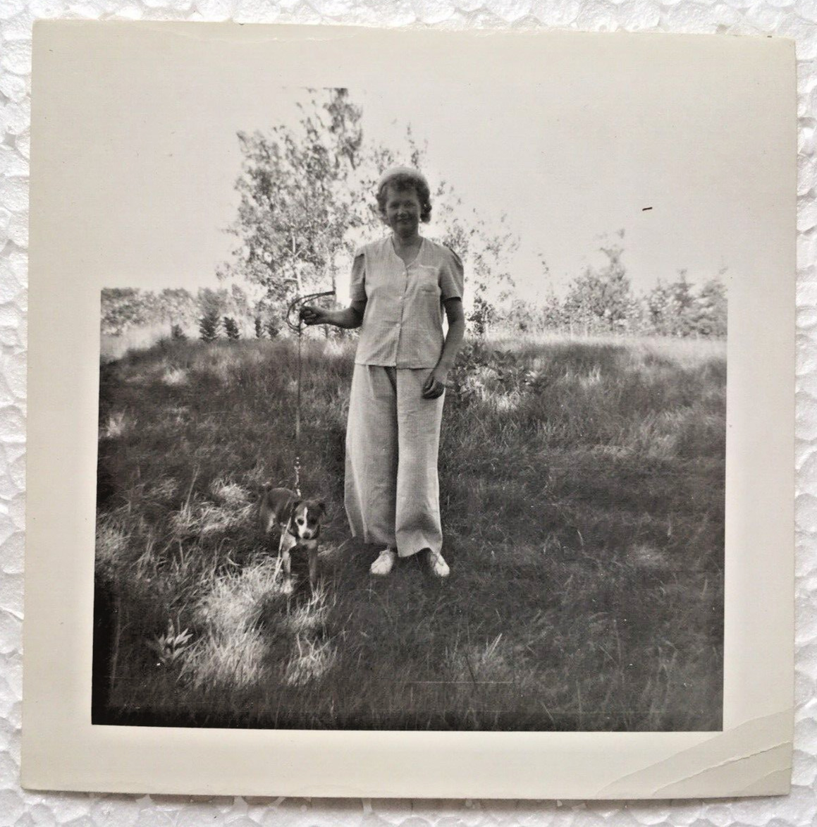 Vintage 1949 Black And White Photo Of Woman With Jack Russell Terrier Dog