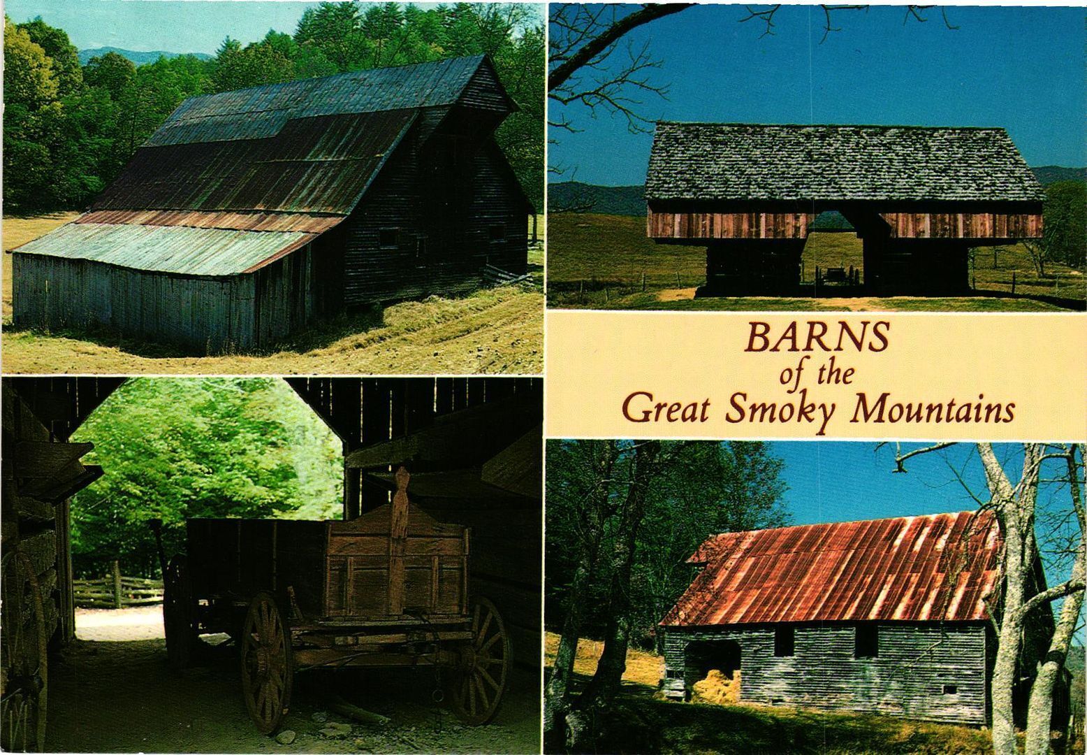 Vintage Postcard 4x6- Barns of the Great Smoky Mountains, TN