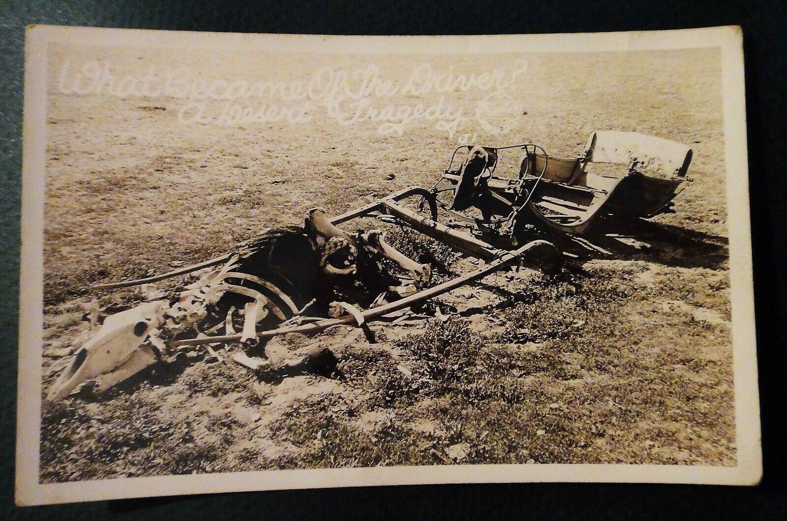 antique REAL PHOTO POSTCARD of HORSE? BONE CARCASS w/ABANDONED BROKEN CARRIAGE