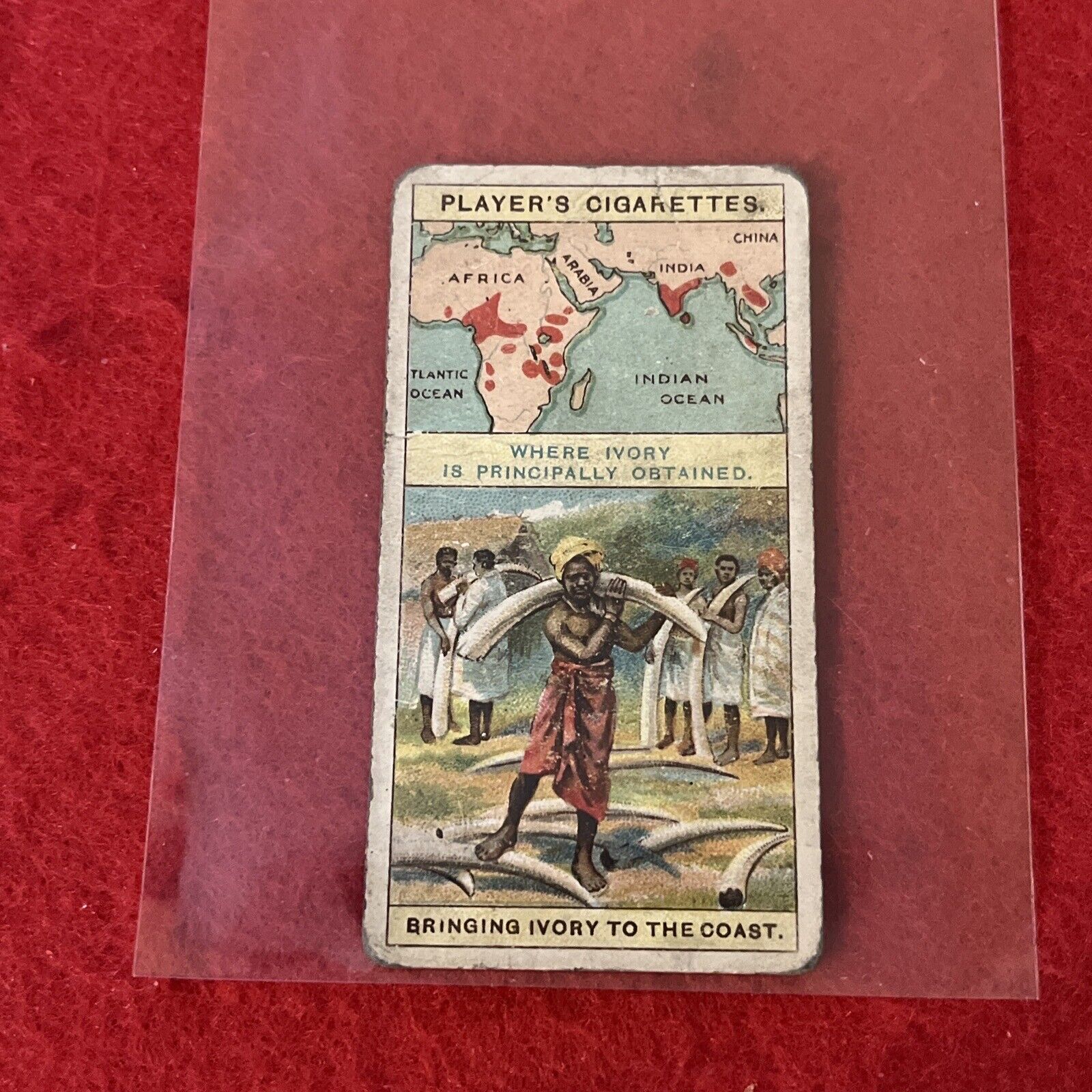 1908 John Player & Sons “Products Of The World” IVORY Tobacco Card  #1