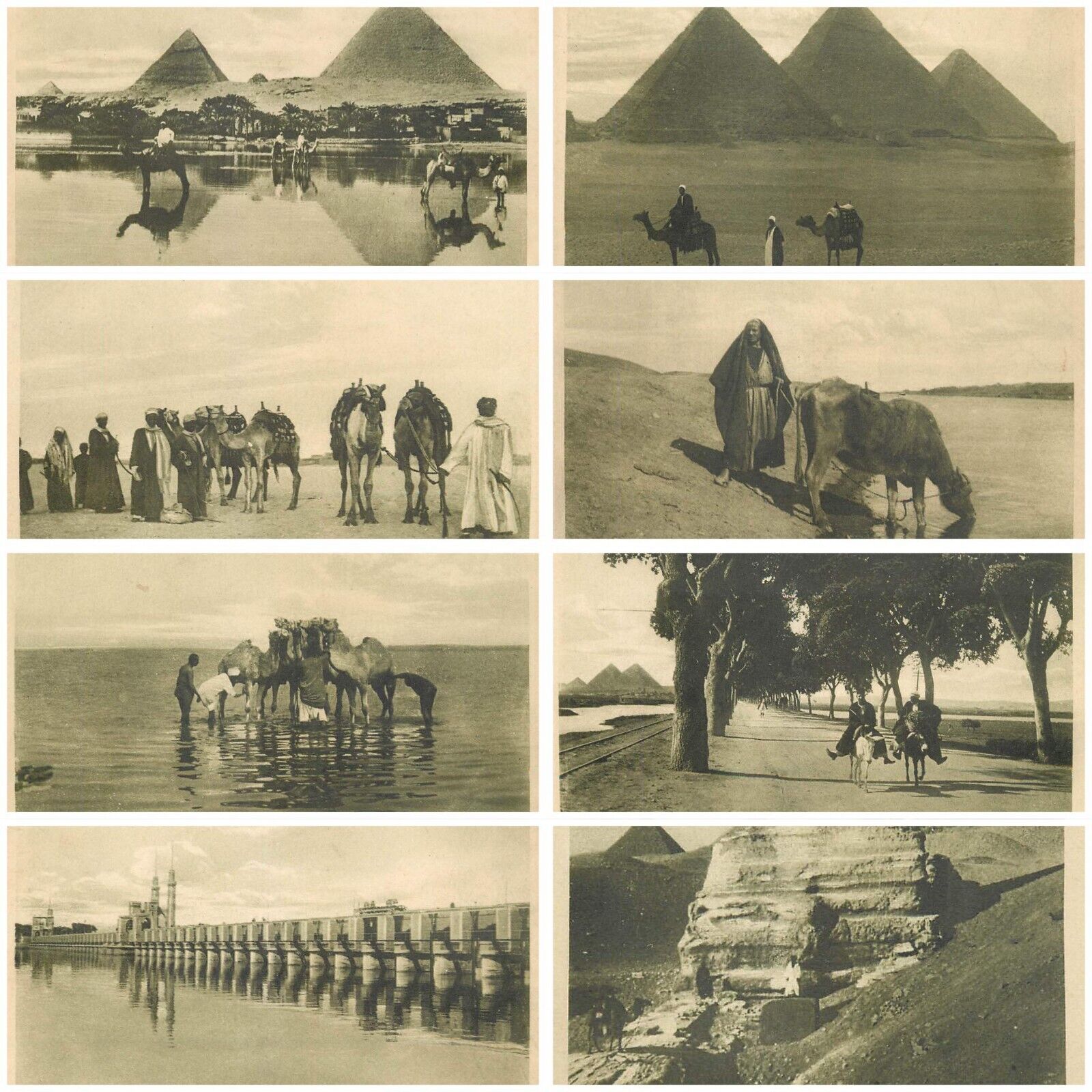 Egypt Cairo community life and landmarks pyramids of Giza Sphinx Nile lot of 8