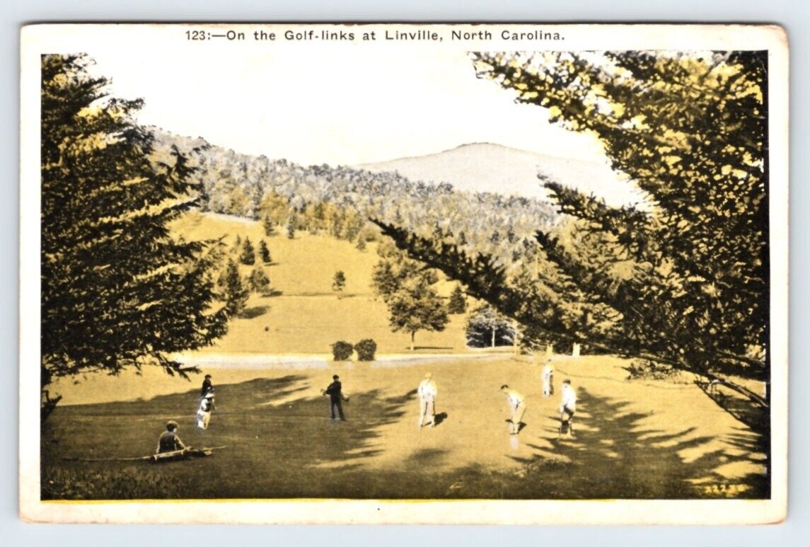 On The Golf Links Linville North Carolina Vintage Postcard Damaged DMG1